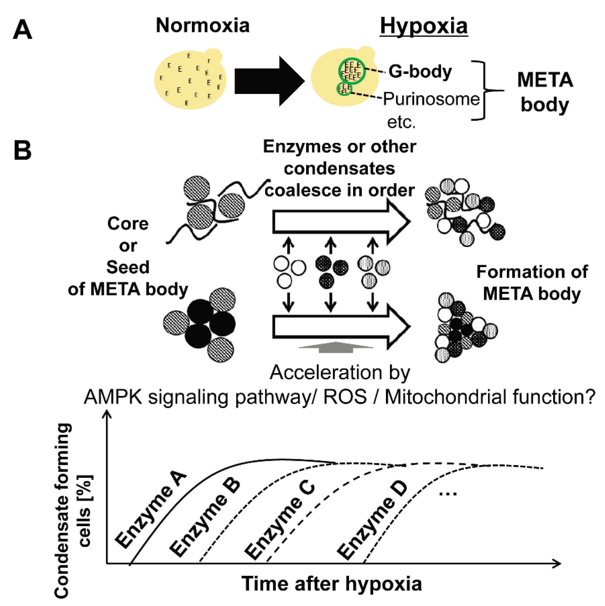 Microorganisms 10 00232 g004