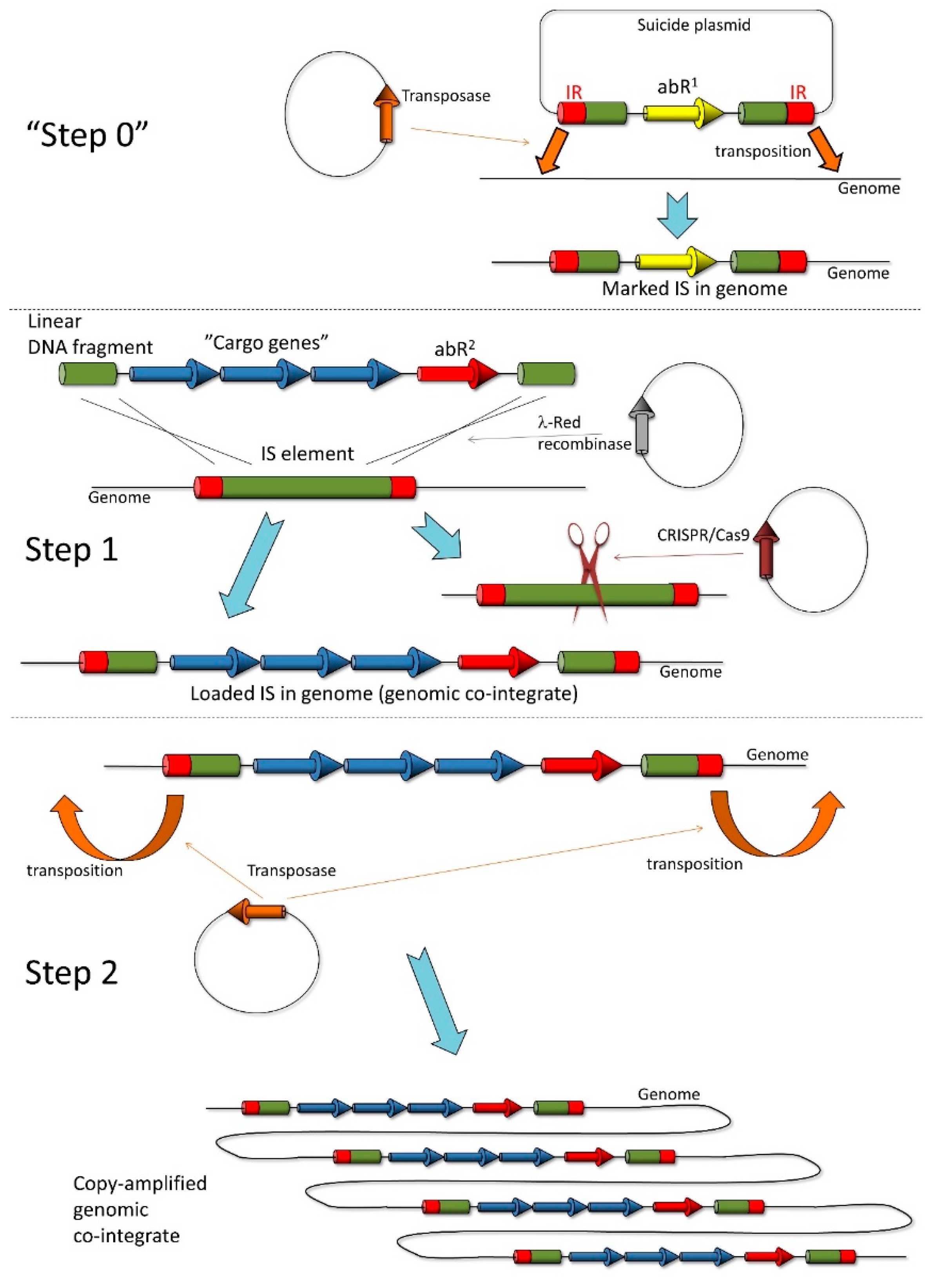 Microorganisms 10 00236 g010