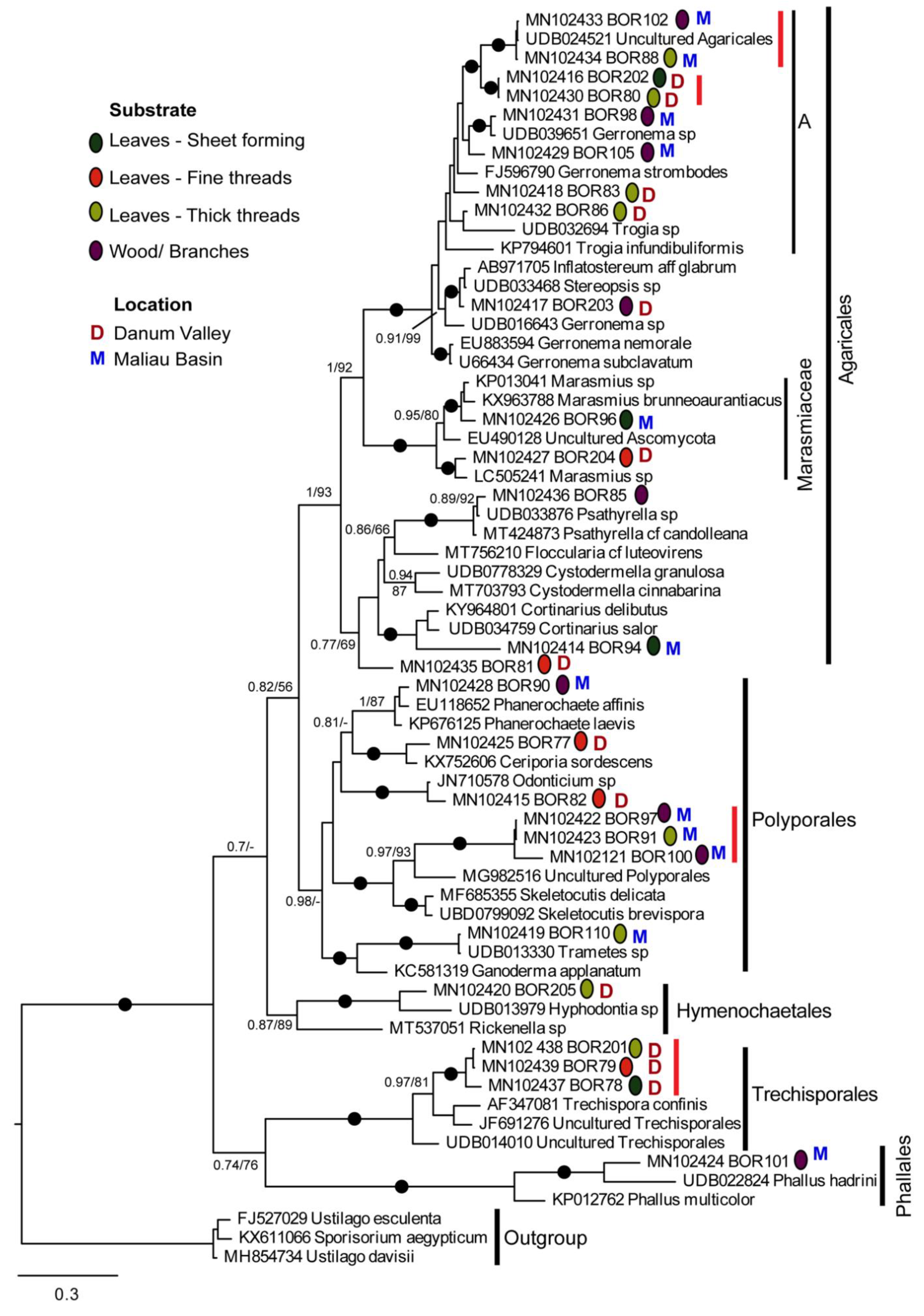 Microorganisms 10 00239 g003 Microorganisms 10 00239 g003