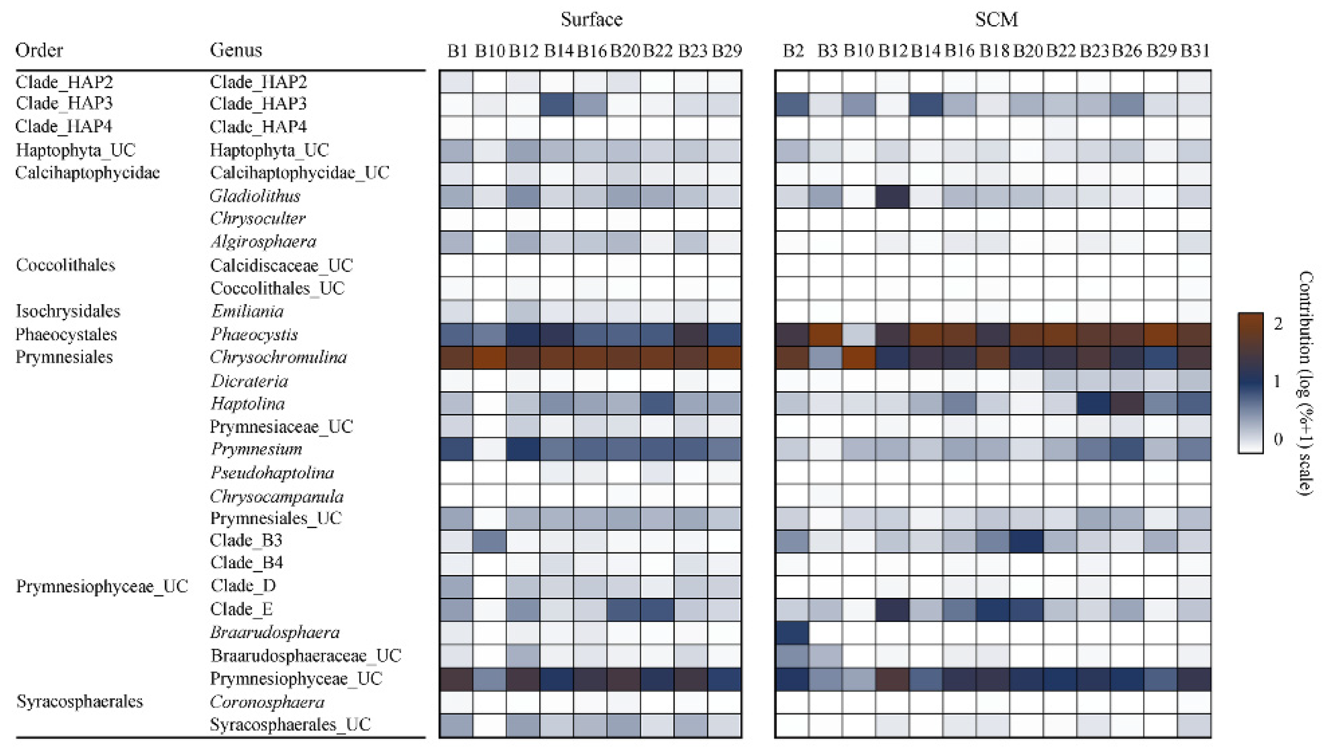 Microorganisms 10 00248 g004