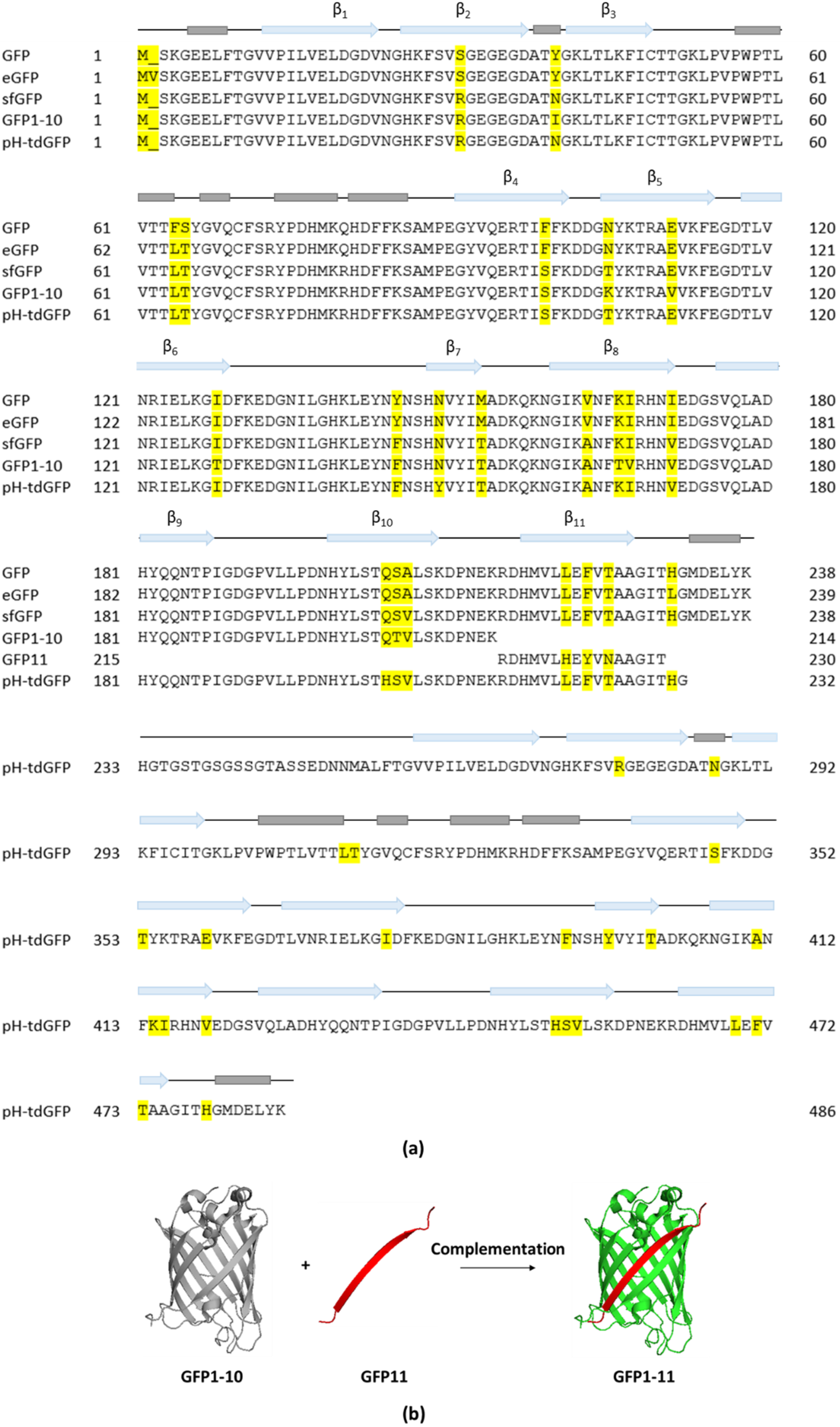 Microorganisms 10 00260 g002