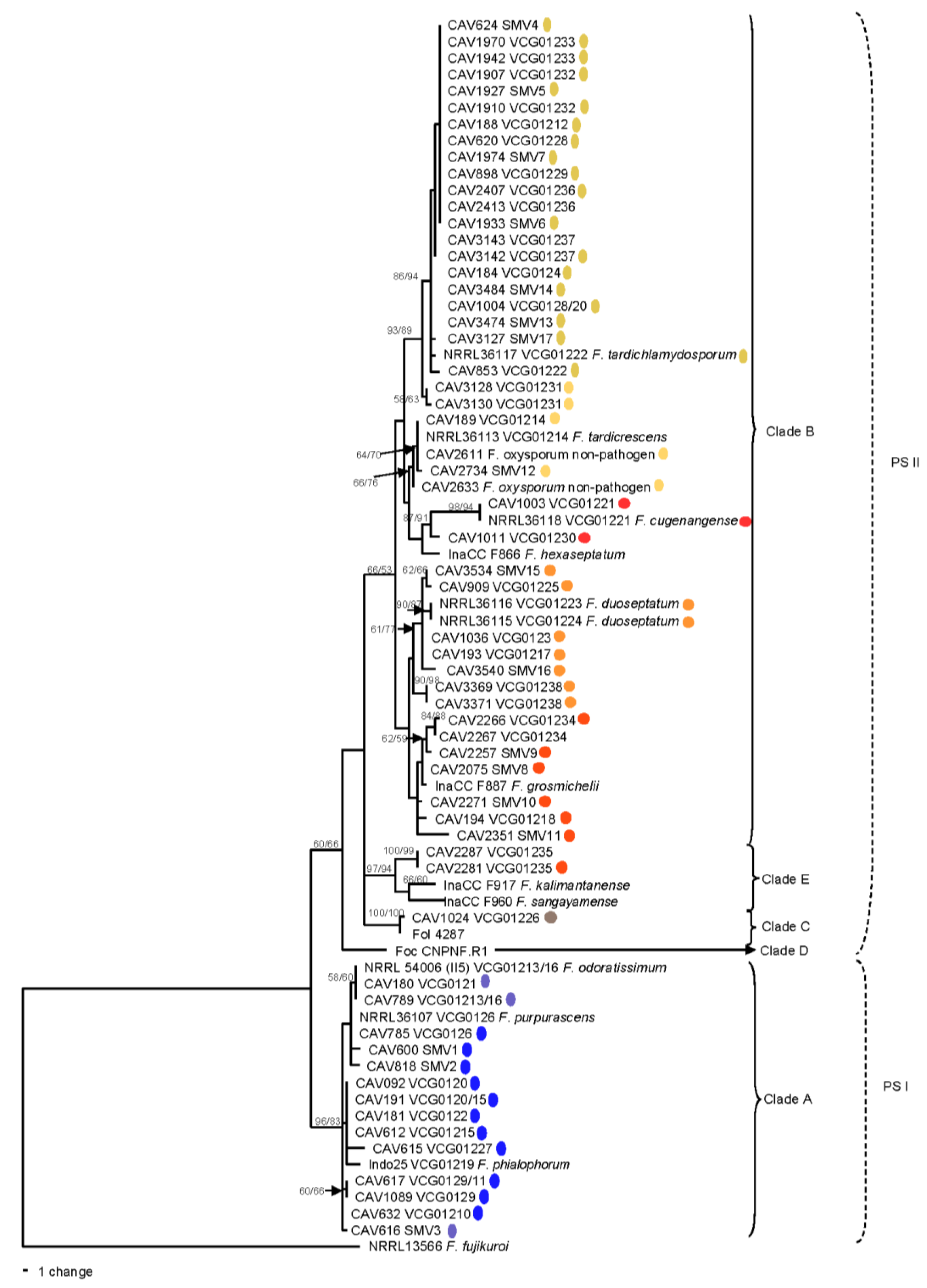 Microorganisms 10 00269 g001 Microorganisms 10 00269 g001