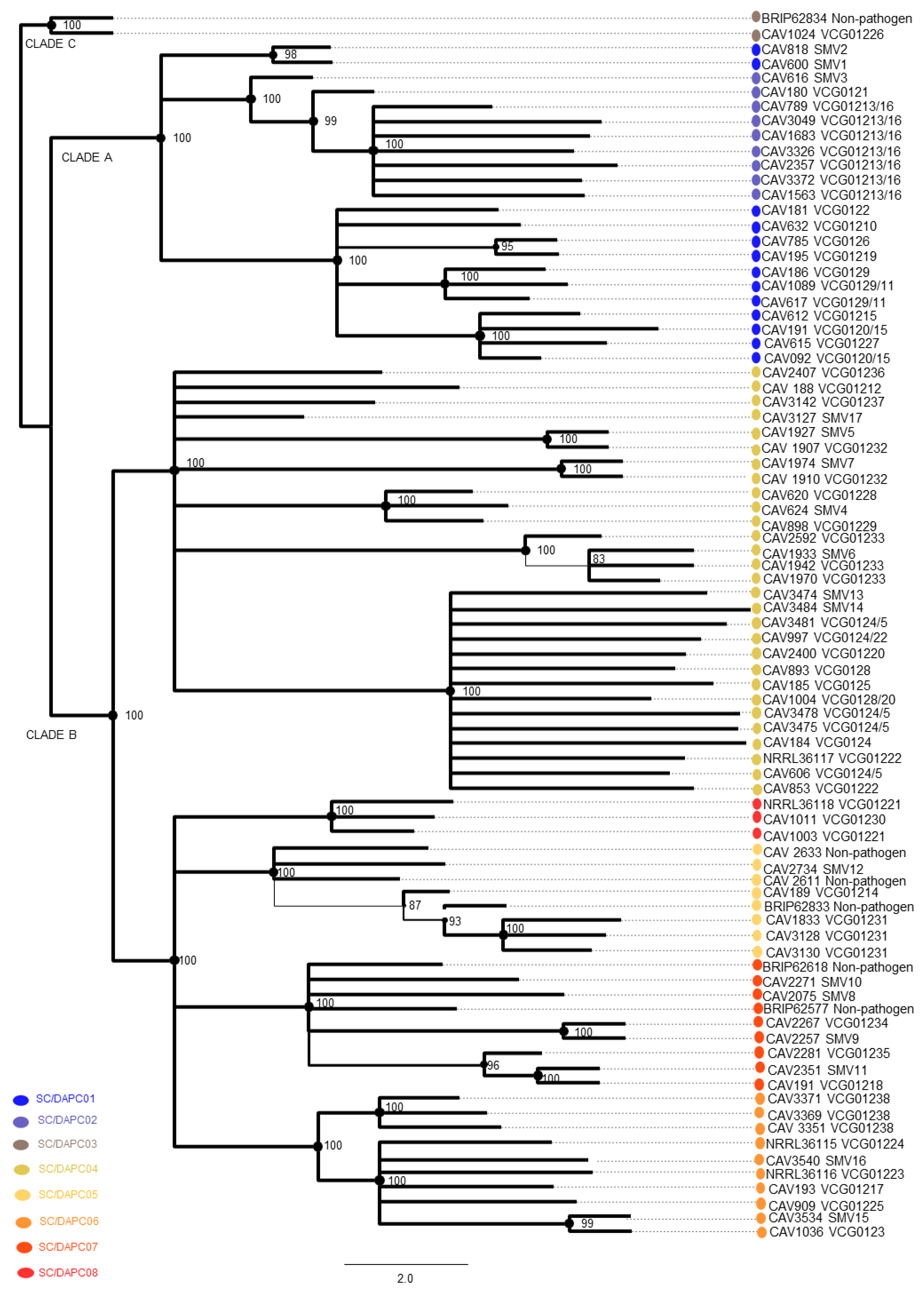 Microorganisms 10 00269 g003 Microorganisms 10 00269 g003