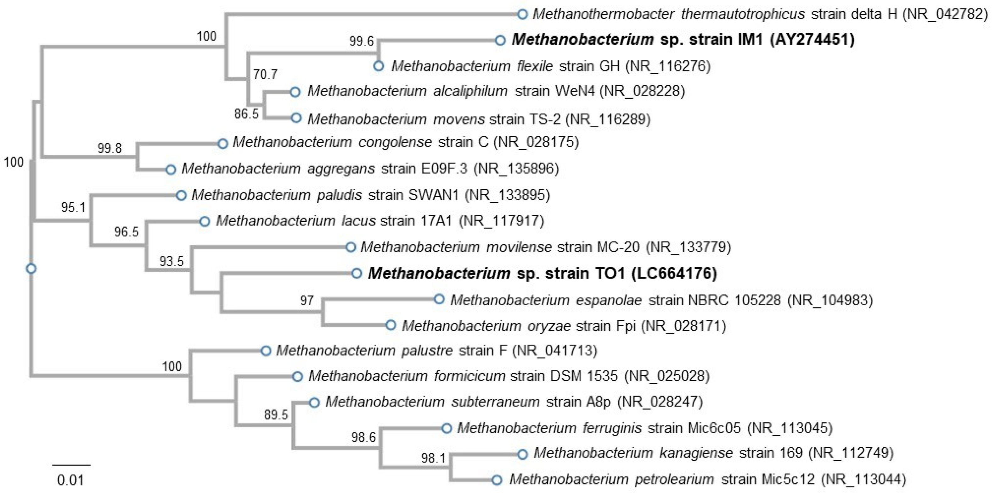 Microorganisms 10 00270 g004