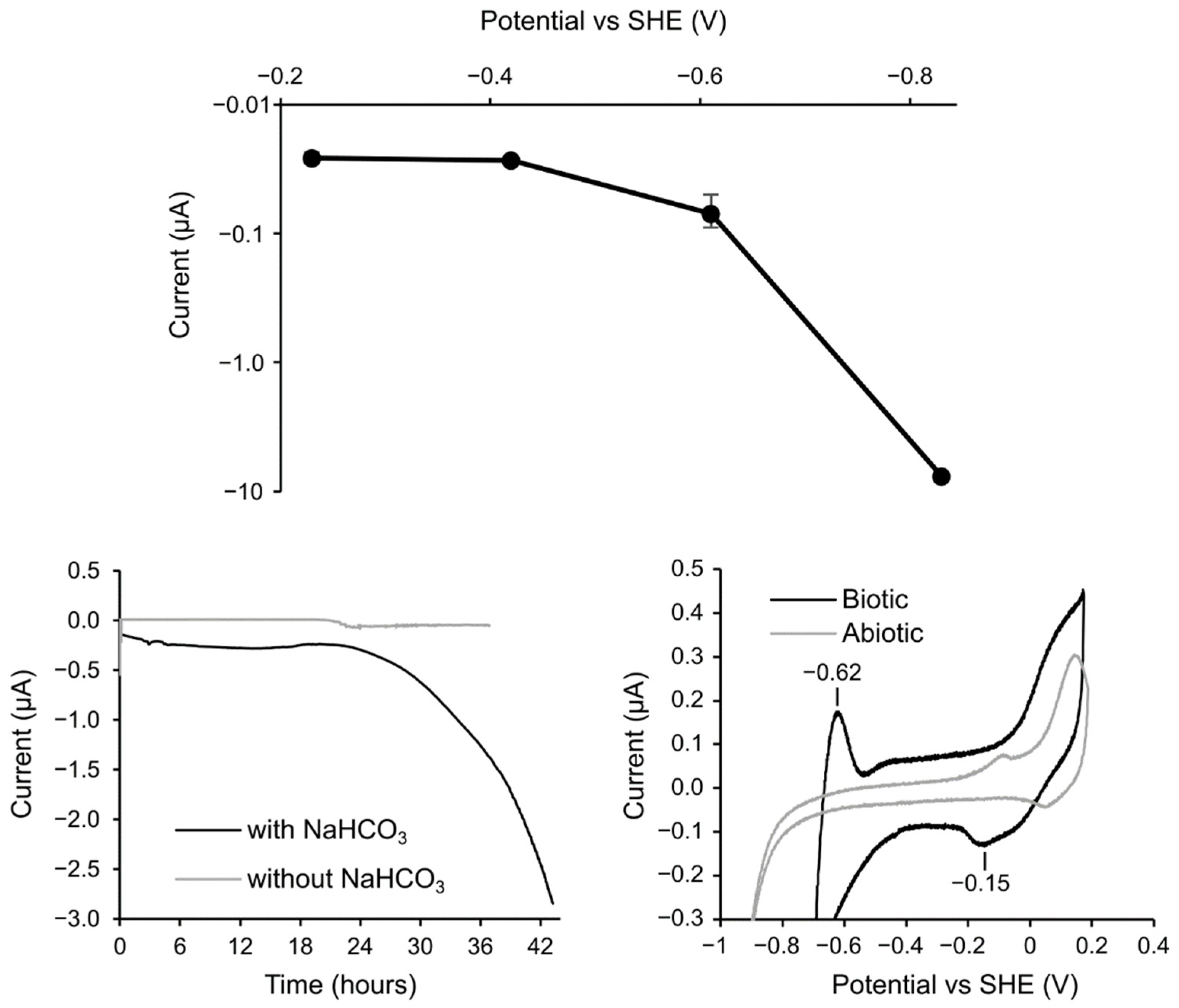 Microorganisms 10 00270 g007