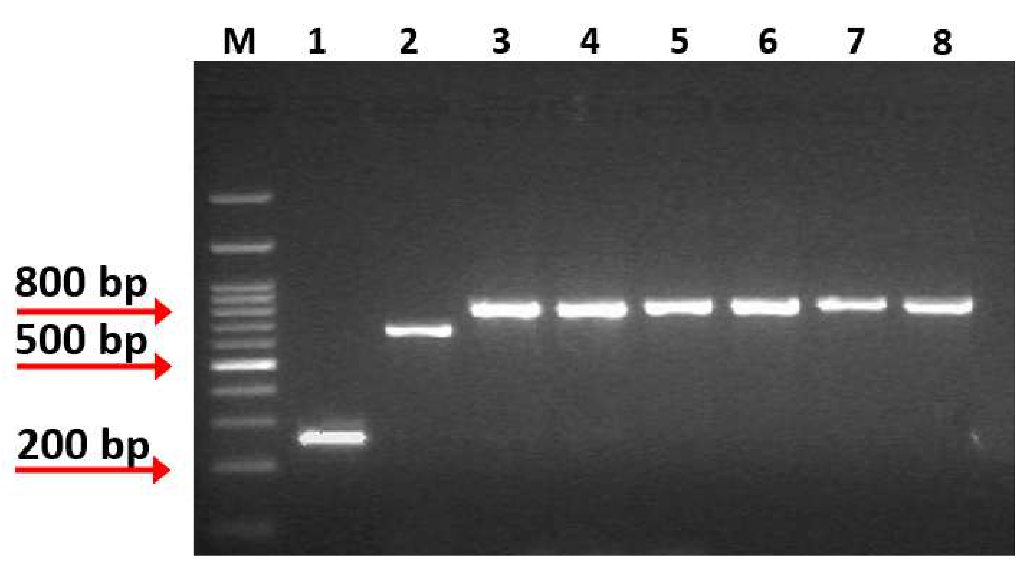 Microorganisms 10 00272 g001 Microorganisms 10 00272 g001