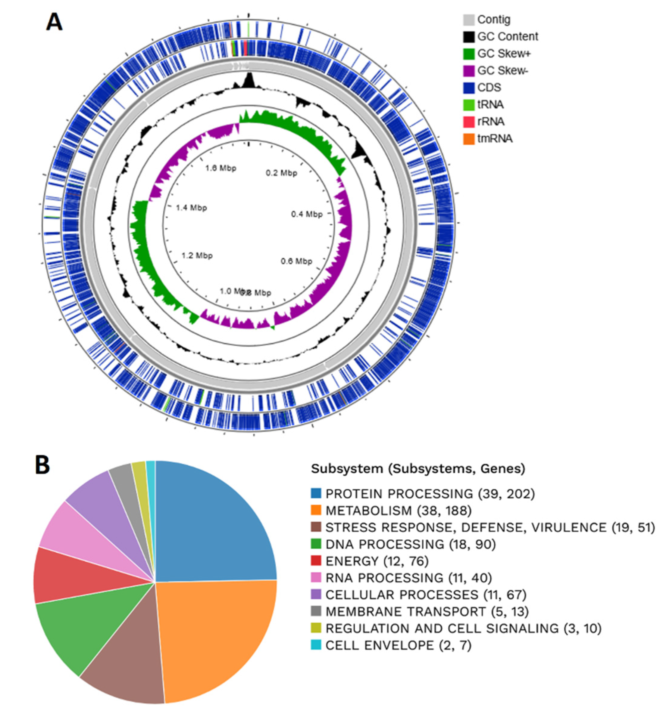 Microorganisms 10 00273 g001