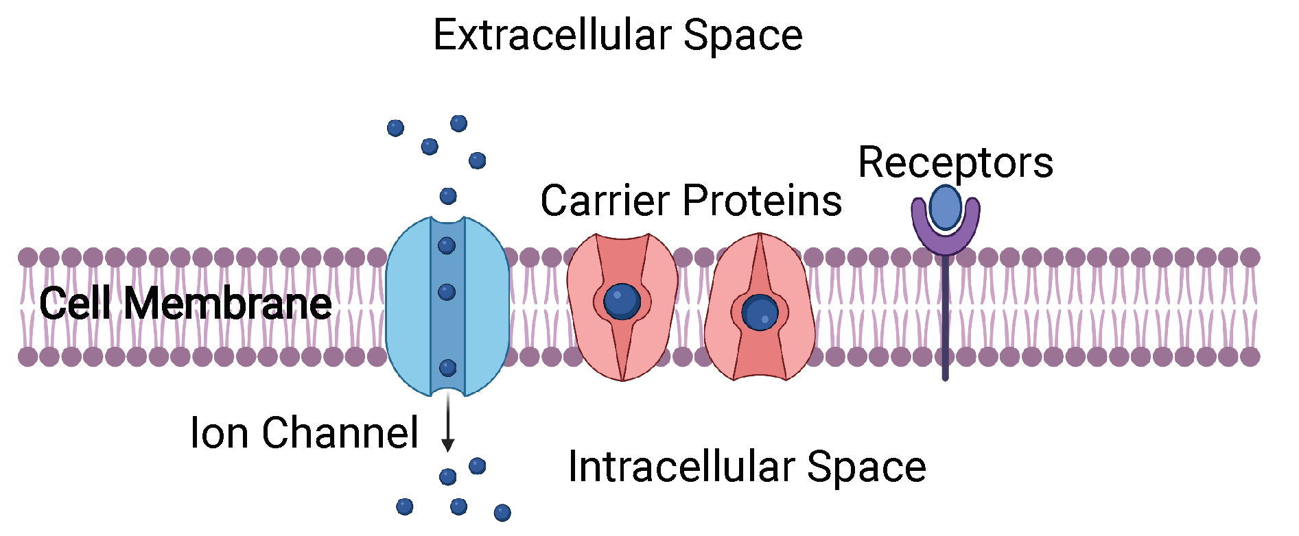 Microorganisms 10 00274 g001