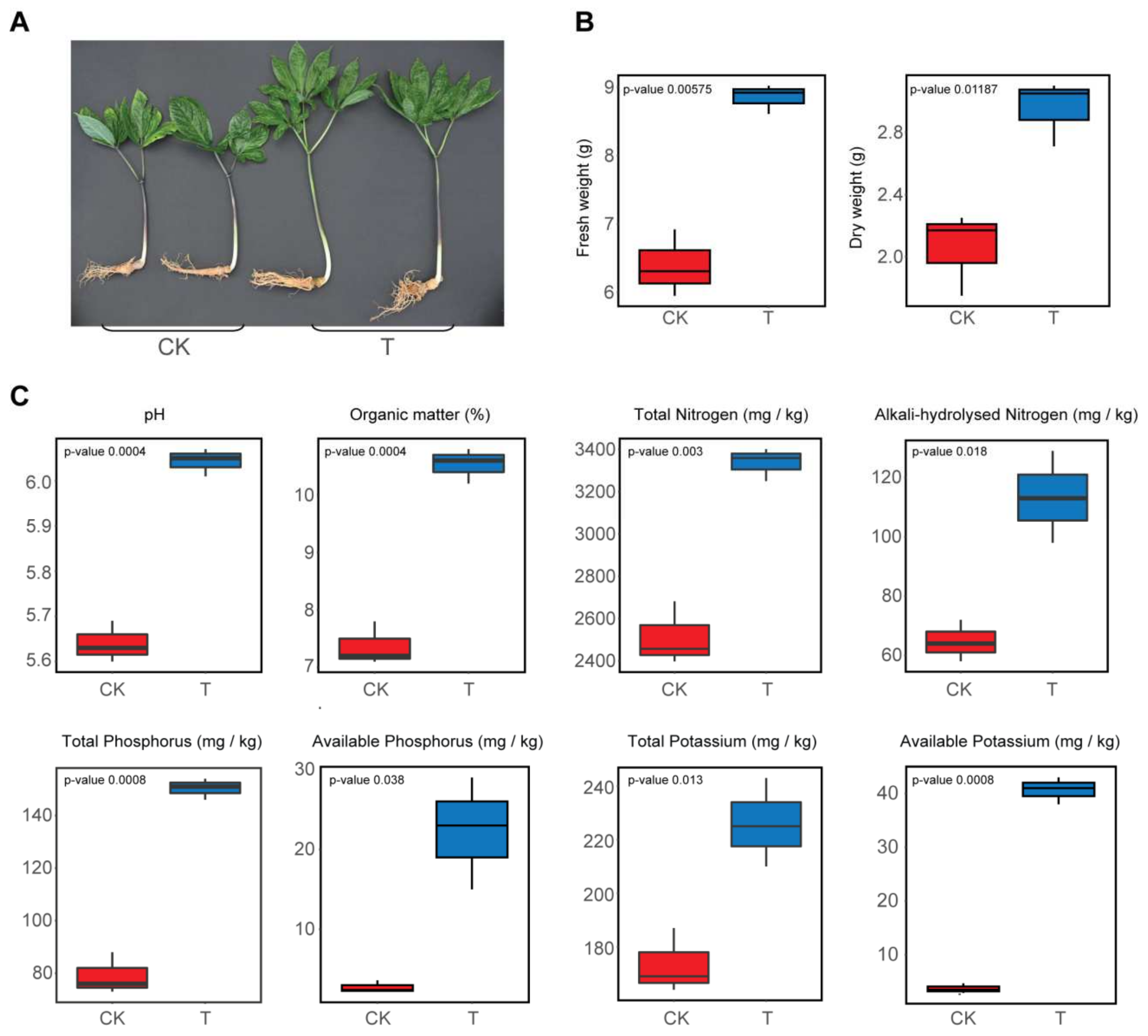 Microorganisms 10 00275 g001