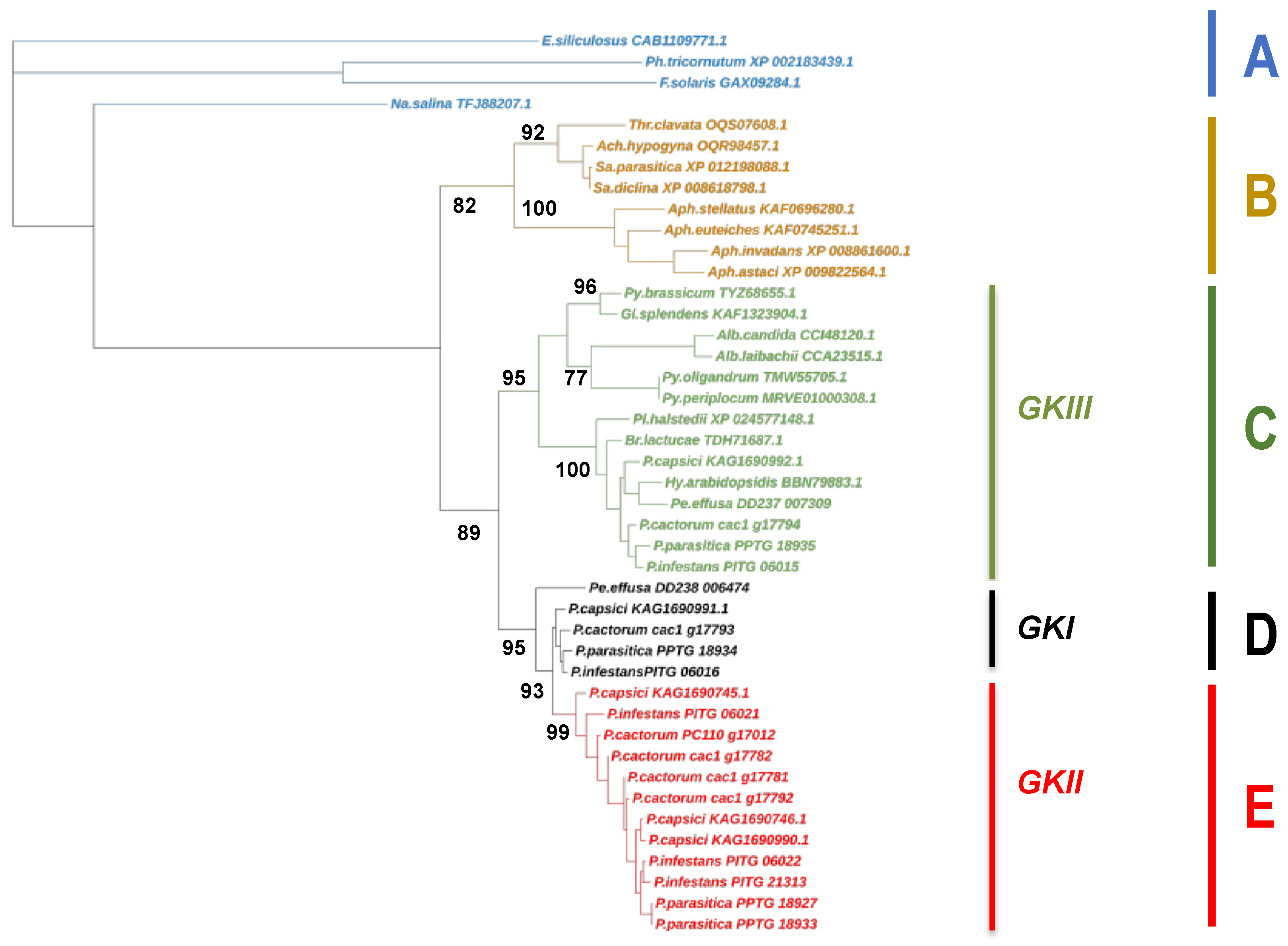 Microorganisms 10 00281 g001