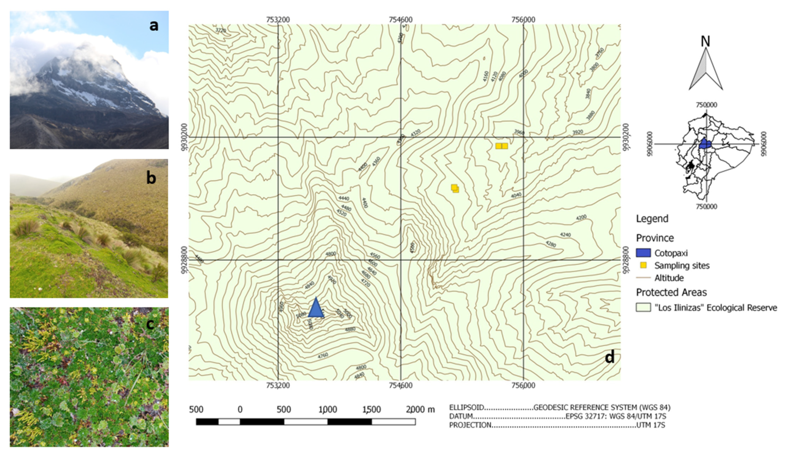 Microorganisms 10 00282 g001