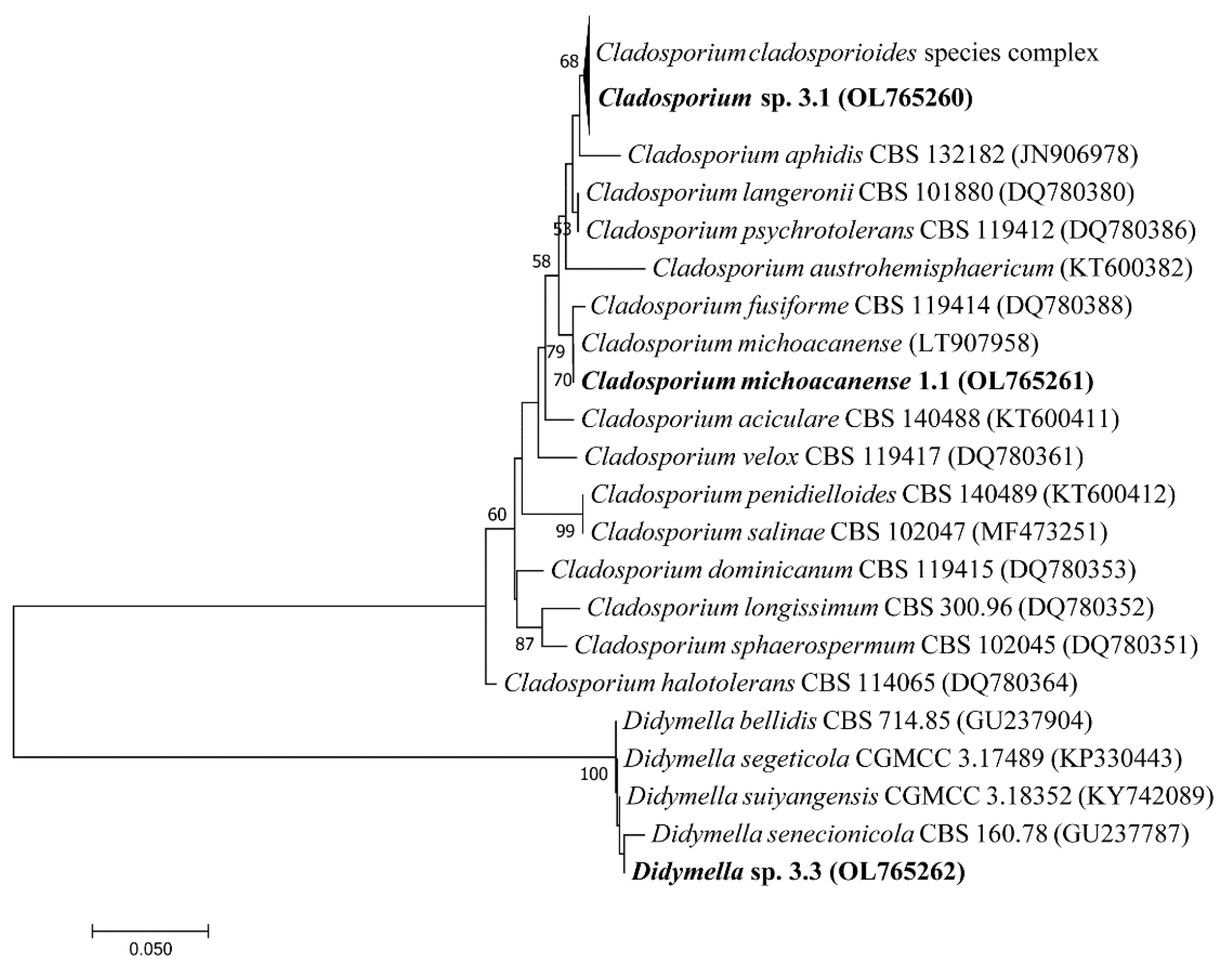 Microorganisms 10 00282 g002