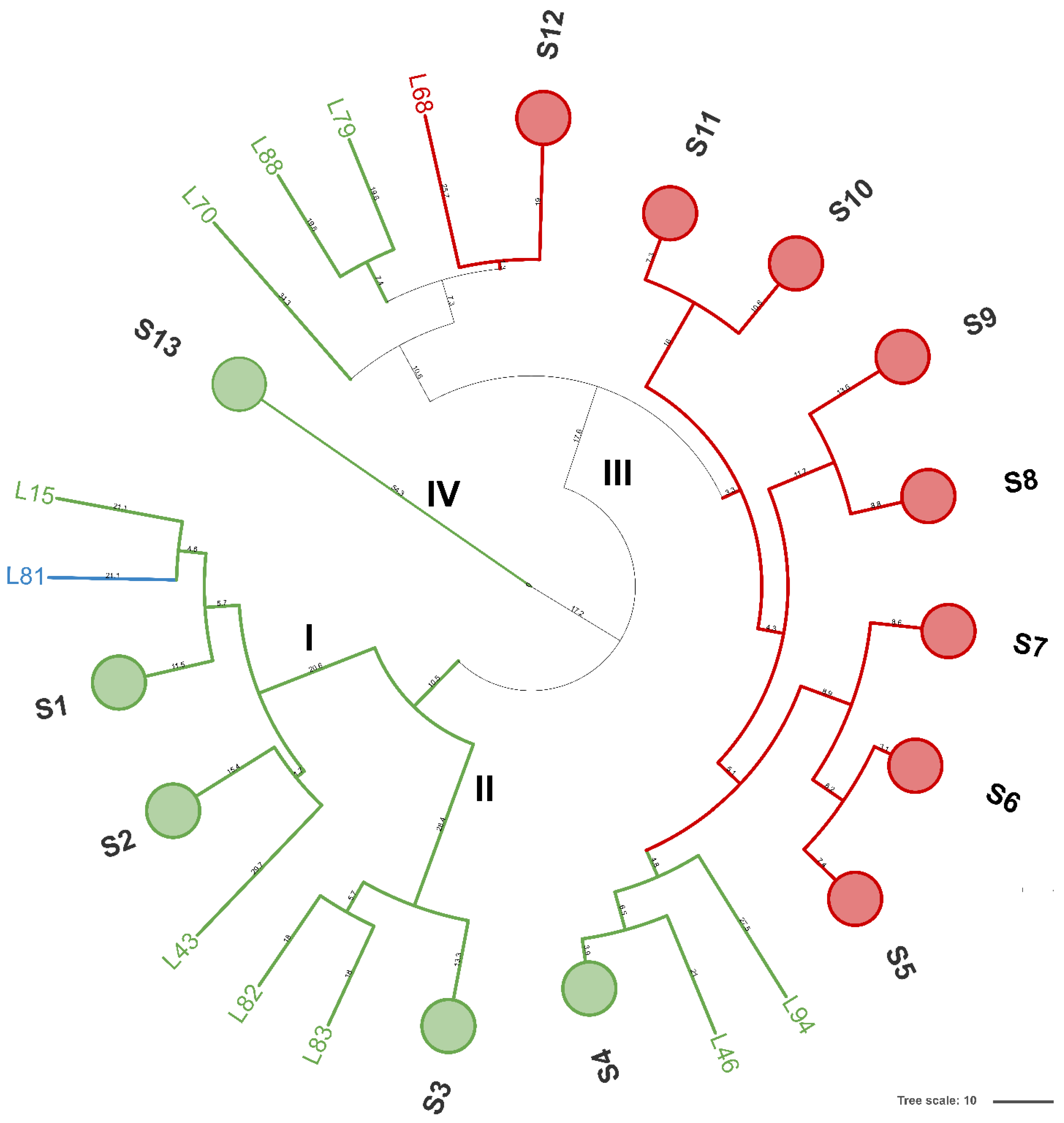 Microorganisms 10 00283 g001