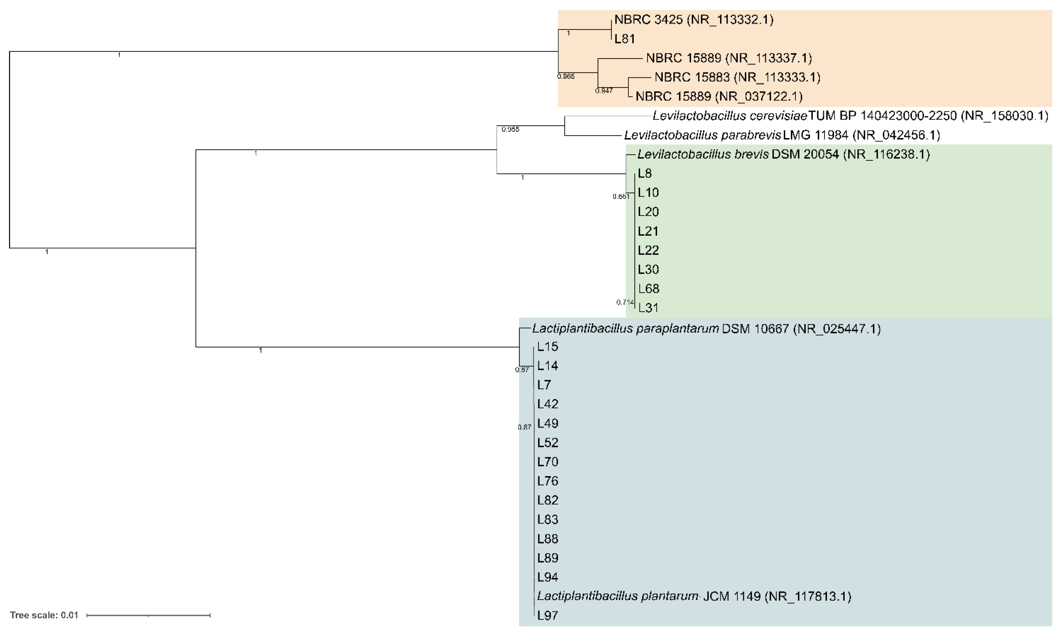 Microorganisms 10 00283 g002
