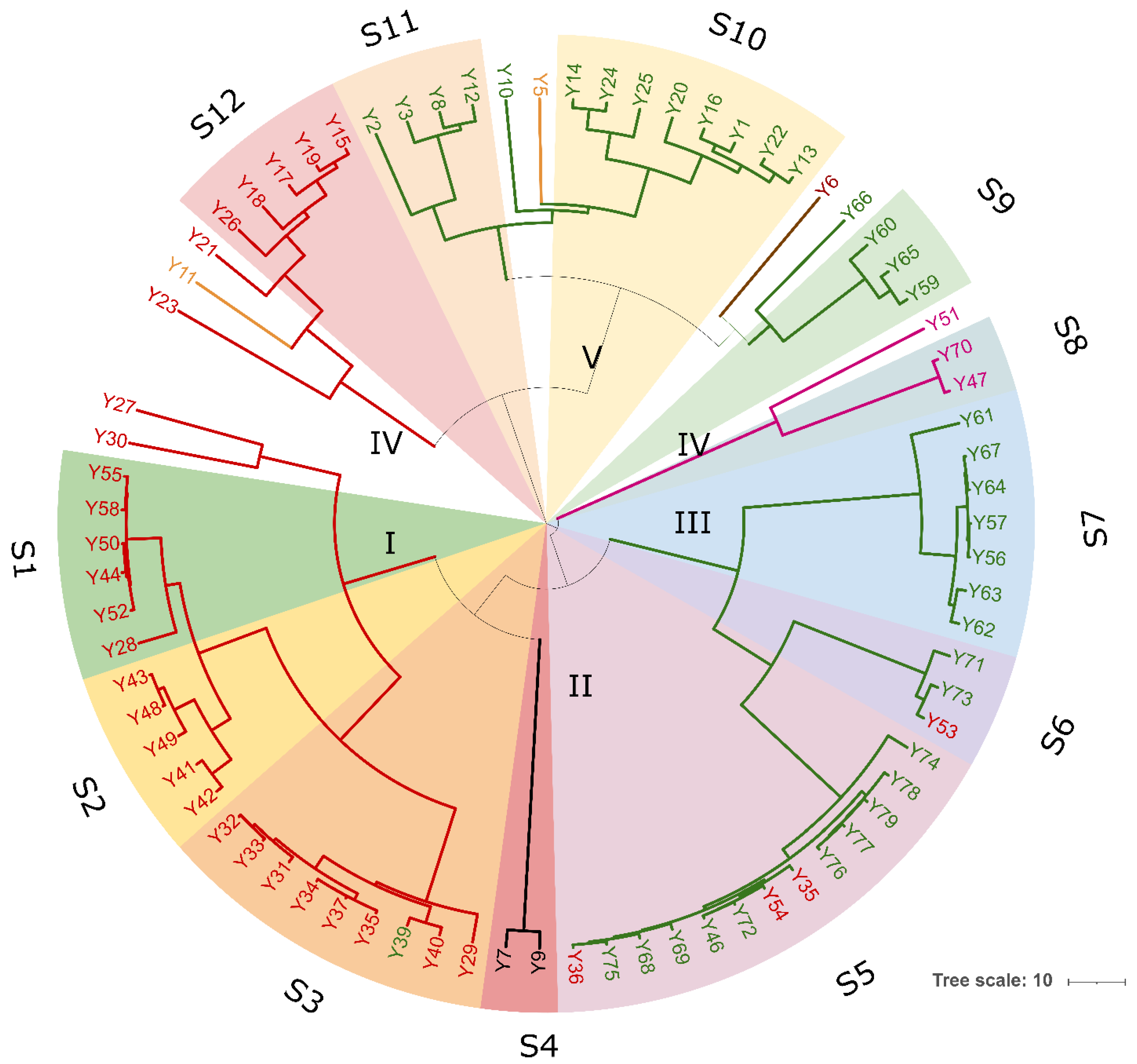 Microorganisms 10 00283 g004