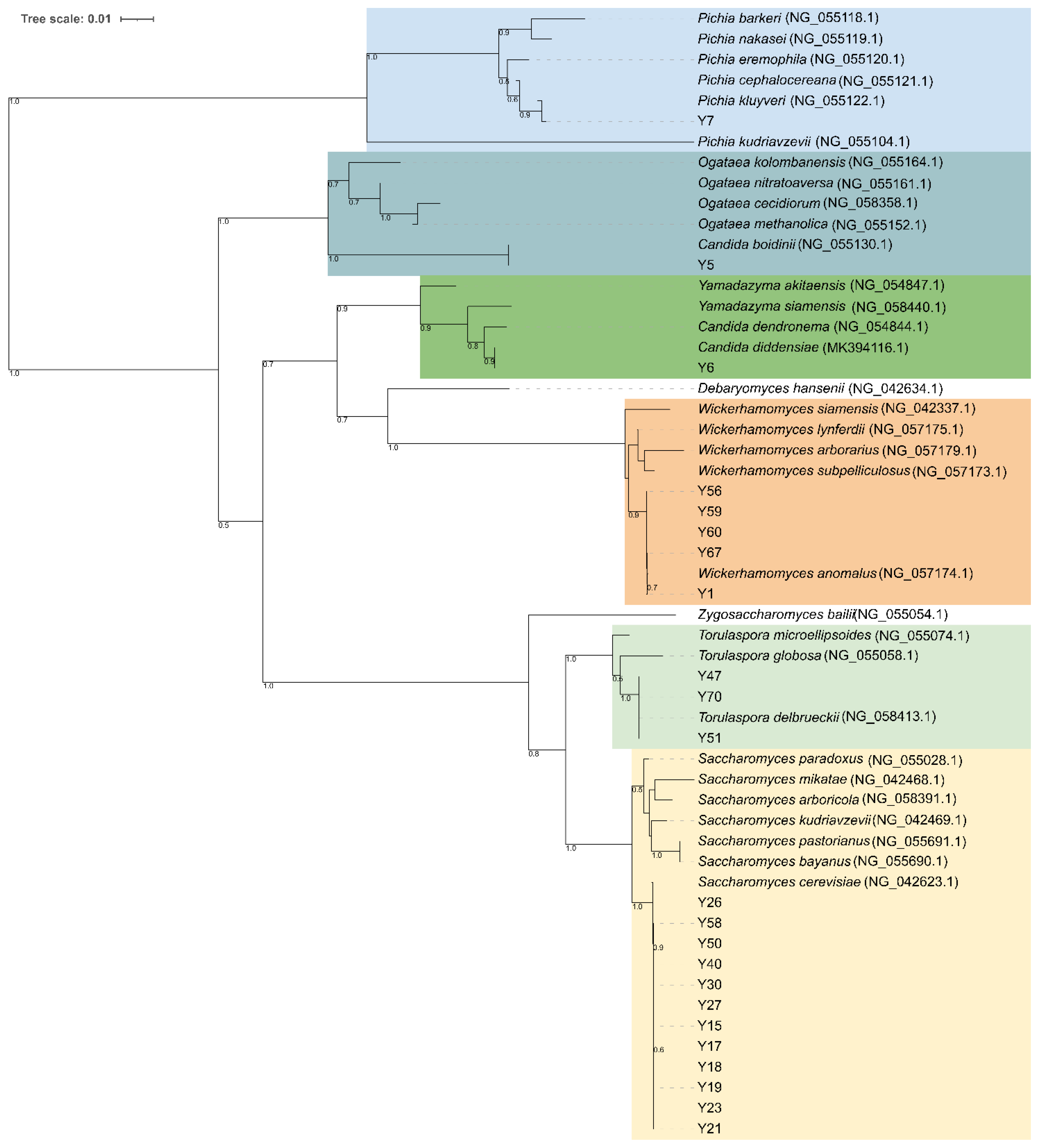 Microorganisms 10 00283 g005