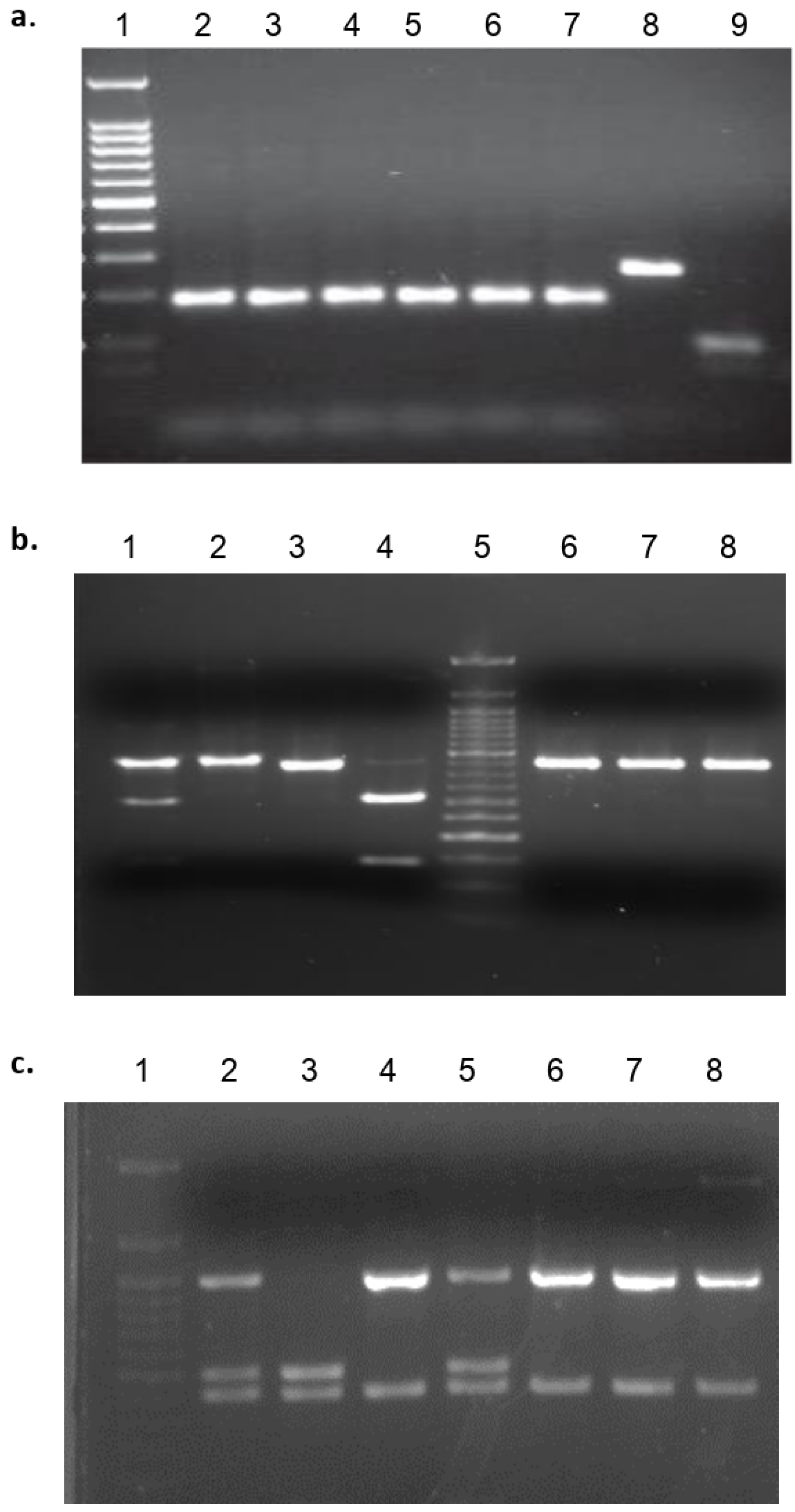 Microorganisms 10 00287 g002