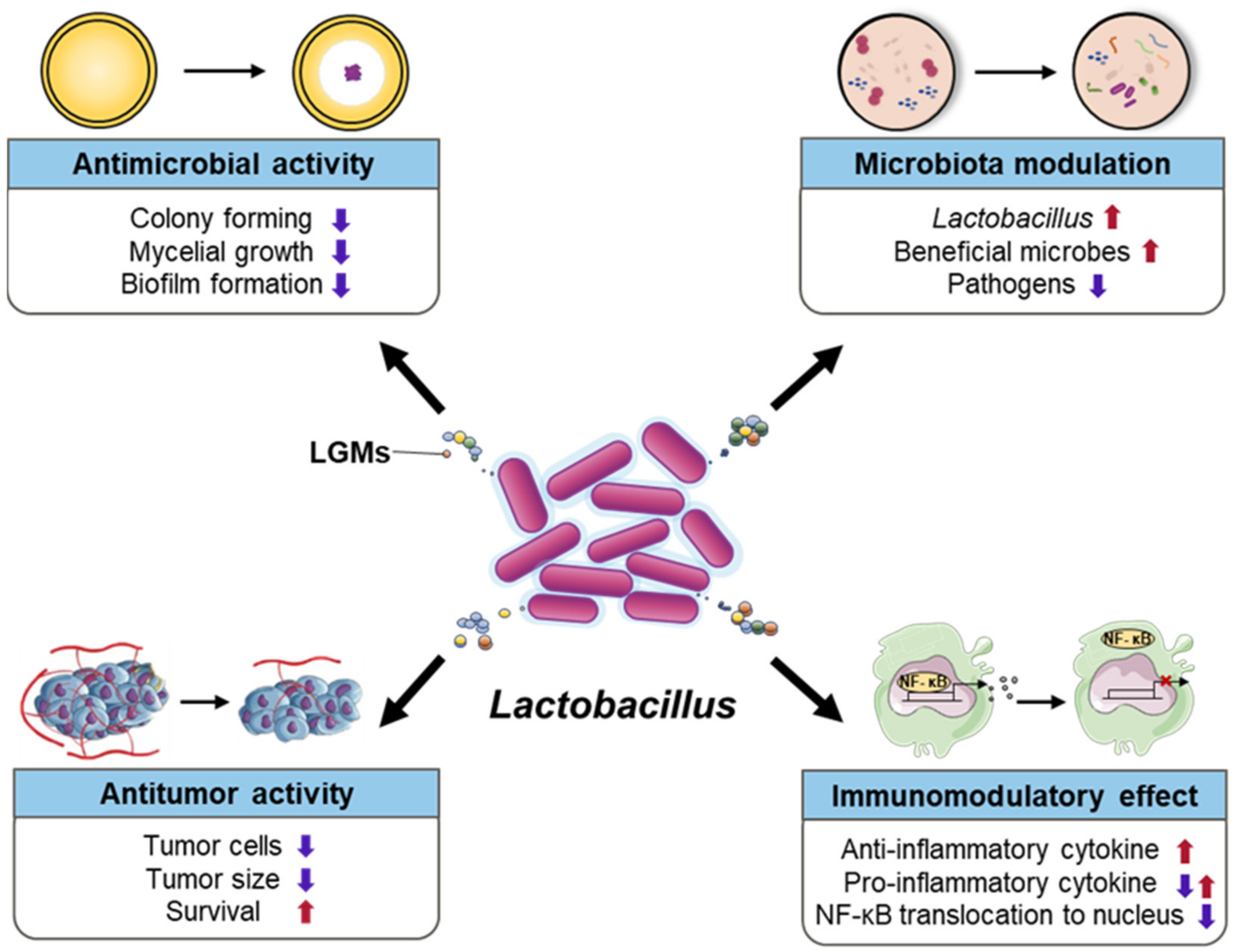 Microorganisms 10 00288 g001