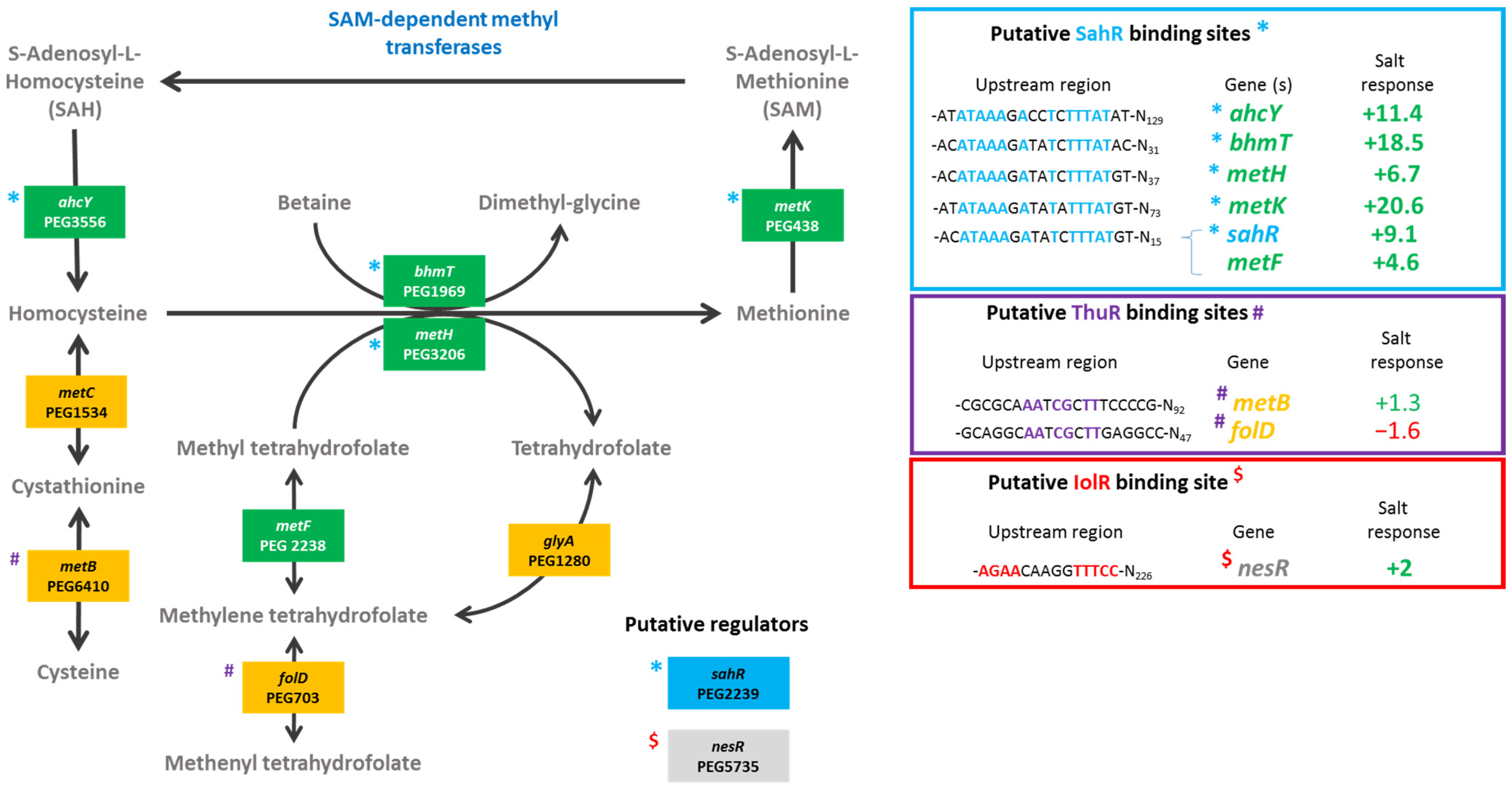 Microorganisms 10 00298 g002