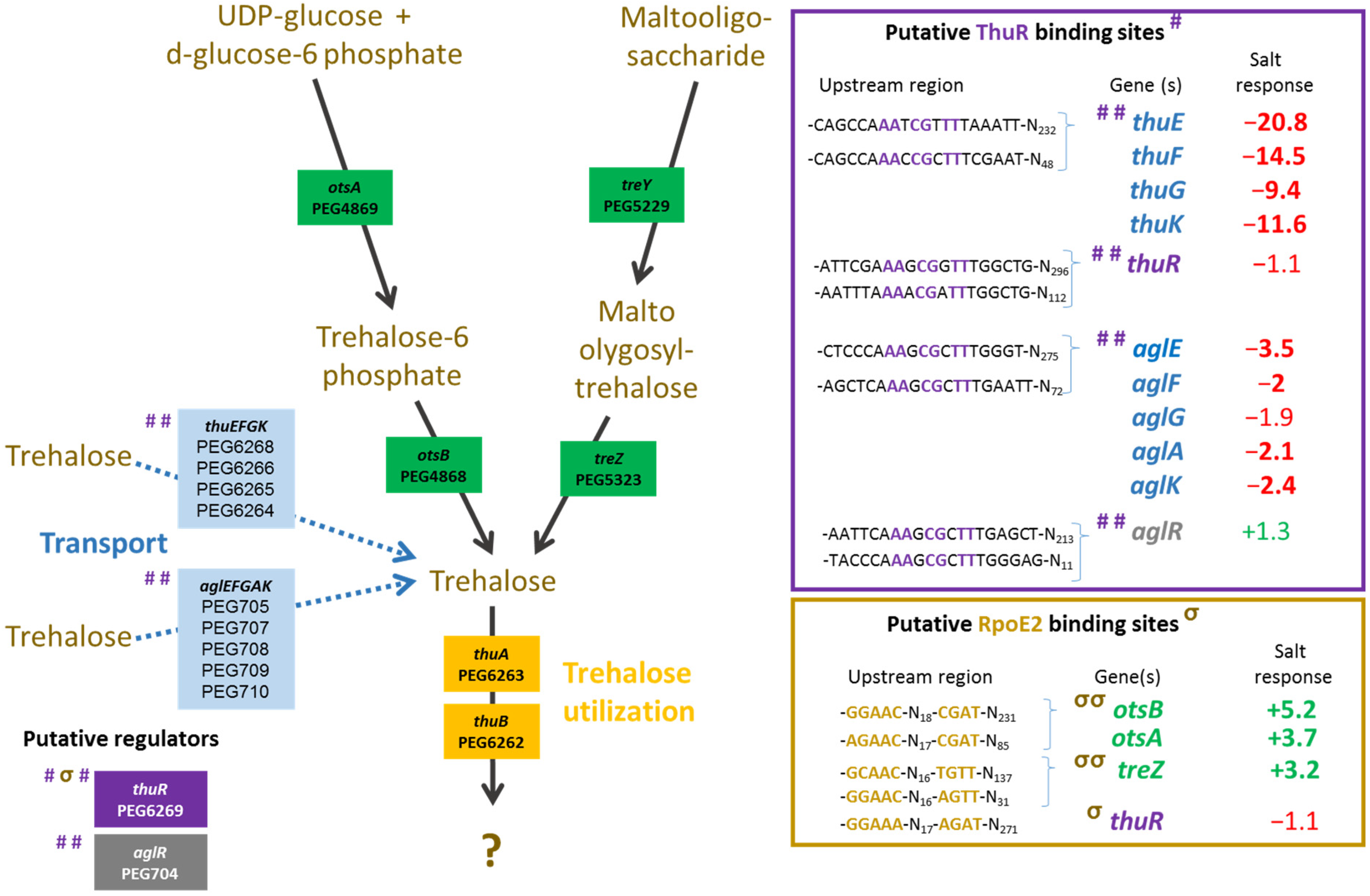 Microorganisms 10 00298 g003
