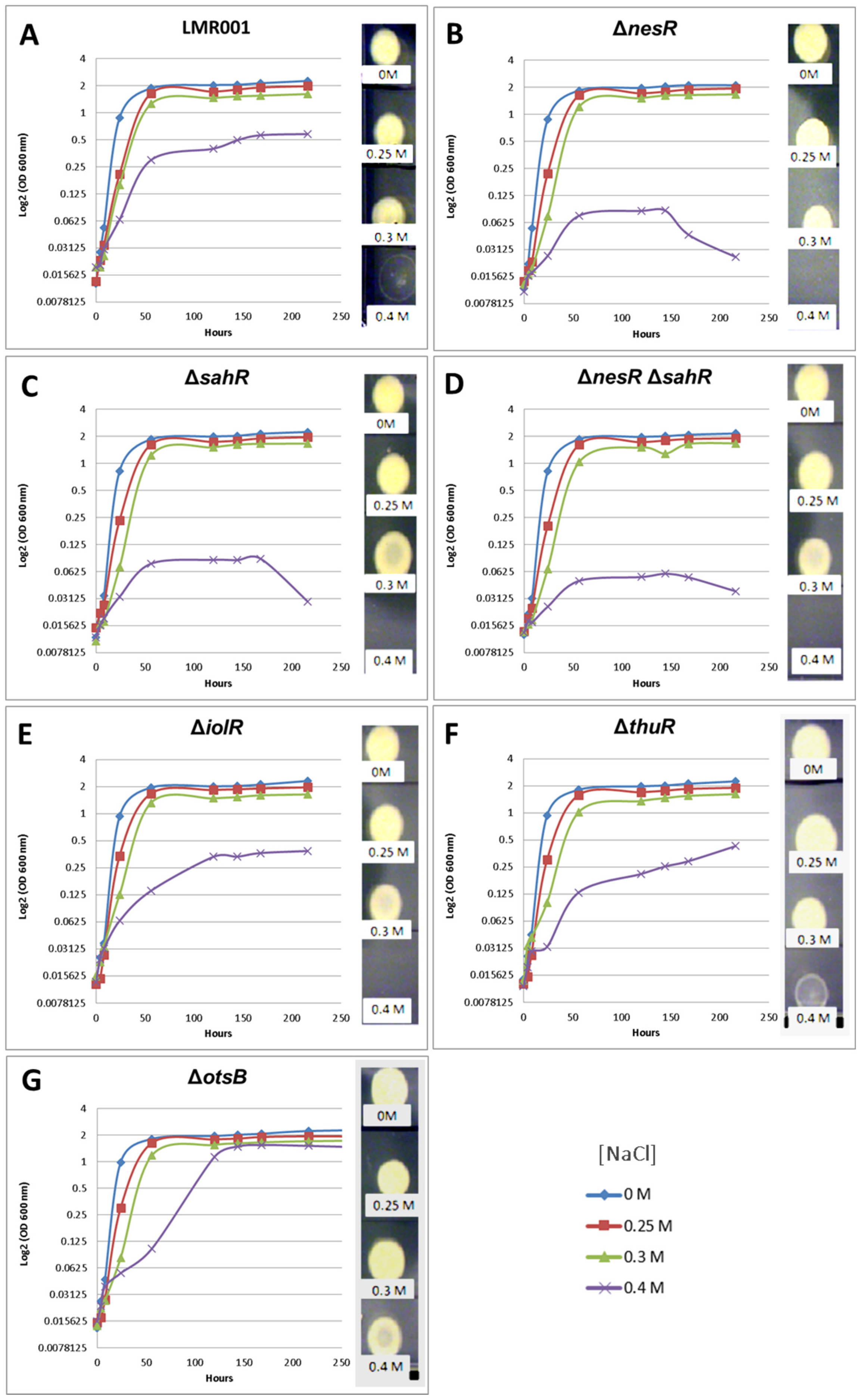 Microorganisms 10 00298 g004