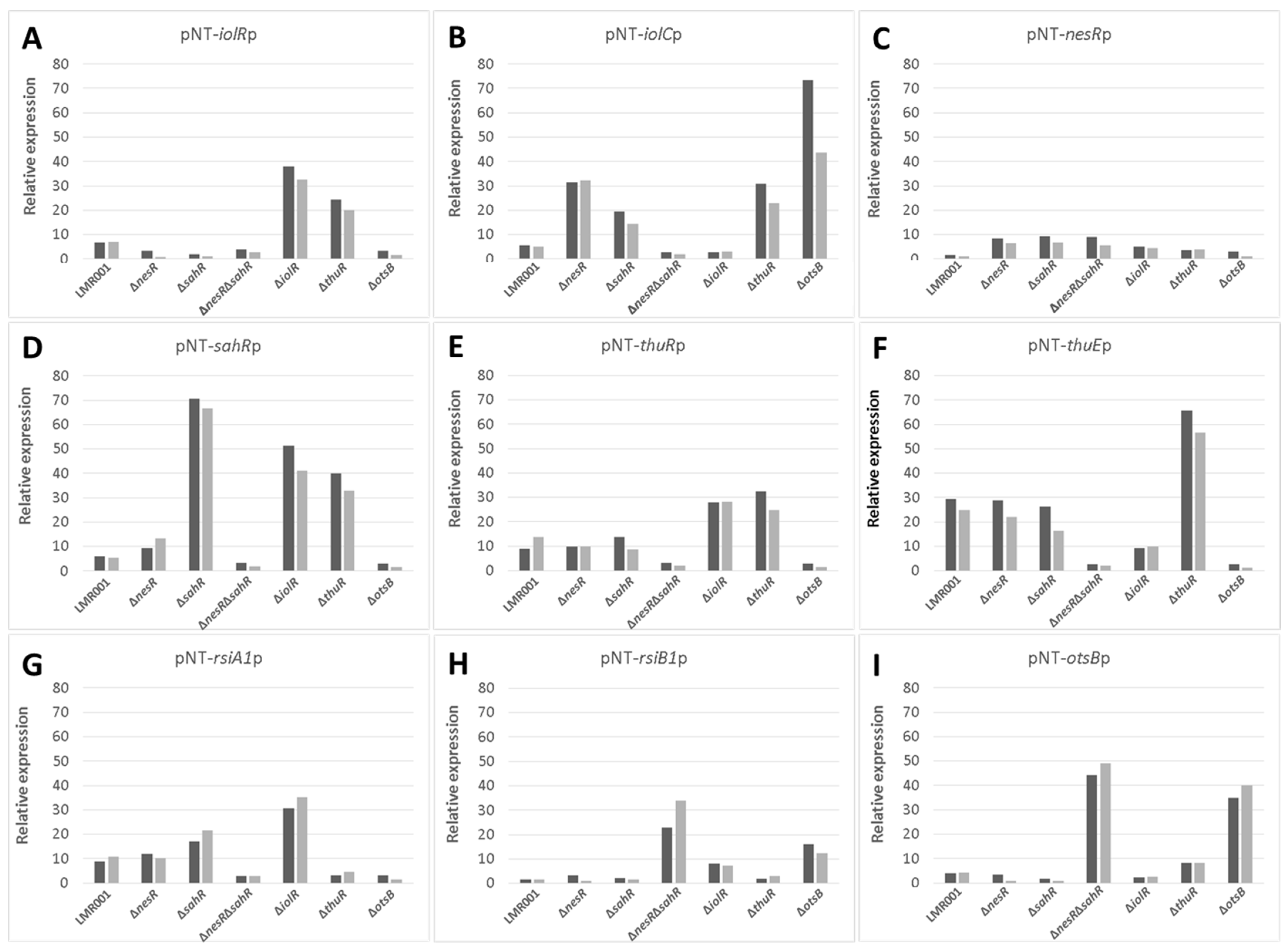 Microorganisms 10 00298 g007