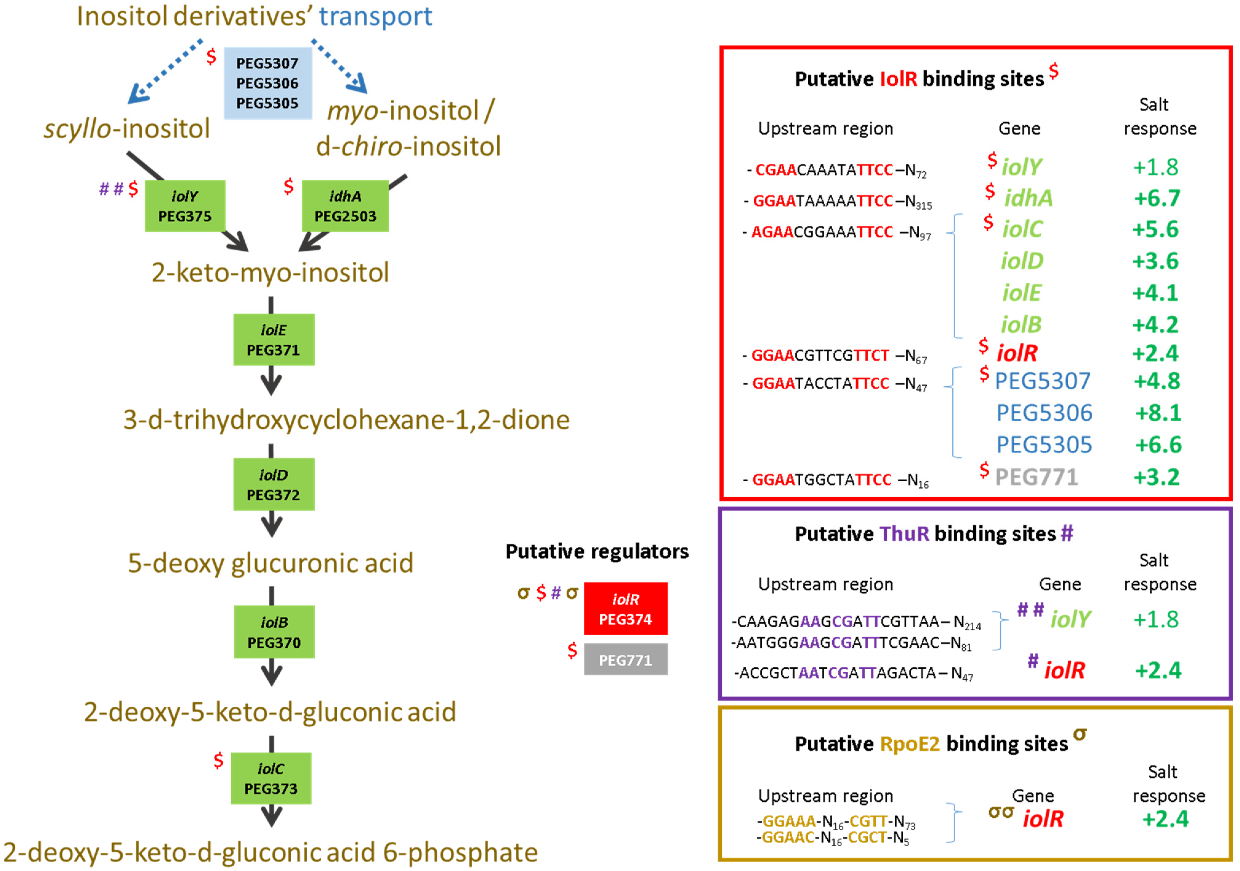 Microorganisms 10 00298 g008
