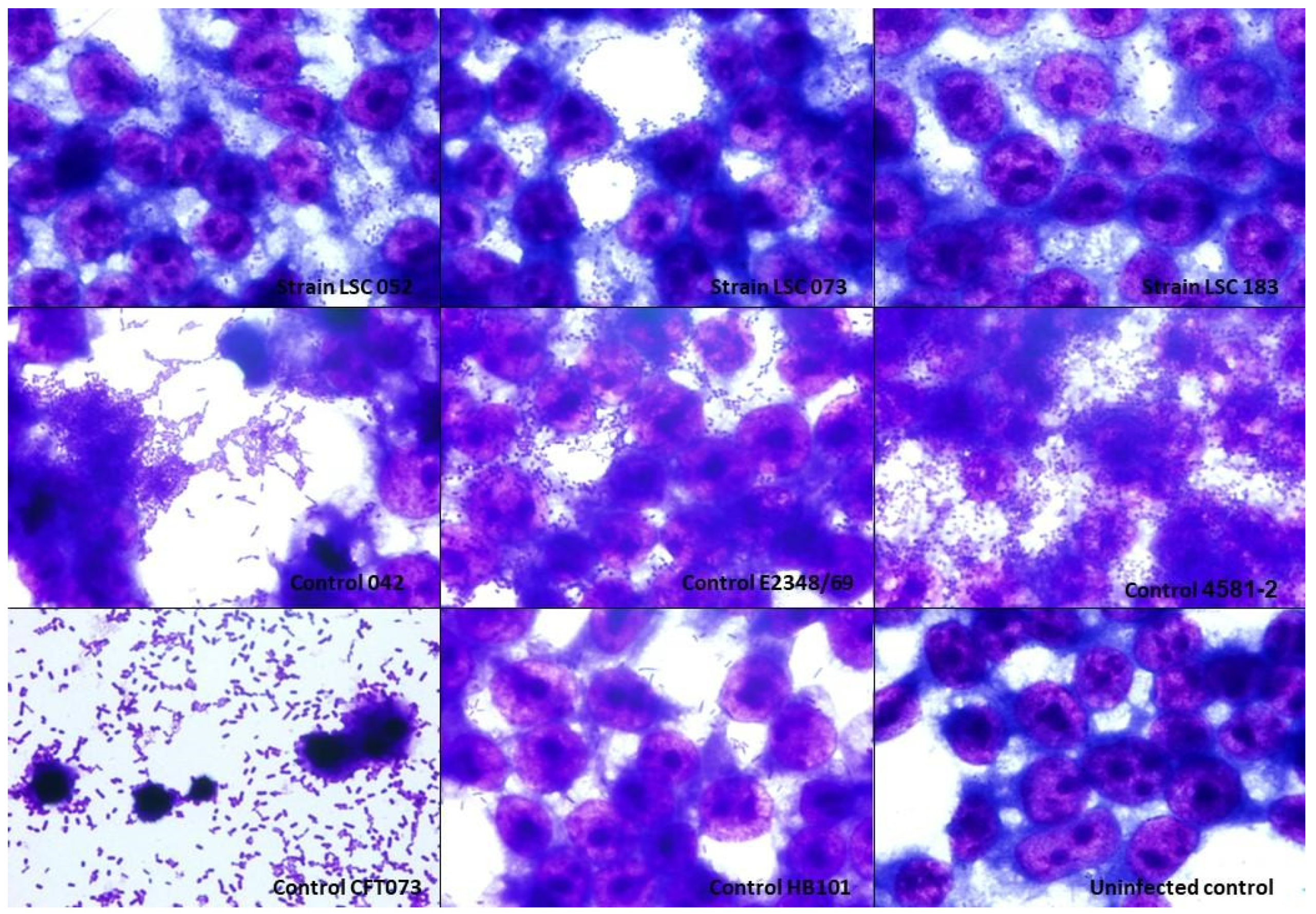 Microorganisms 10 00302 g002
