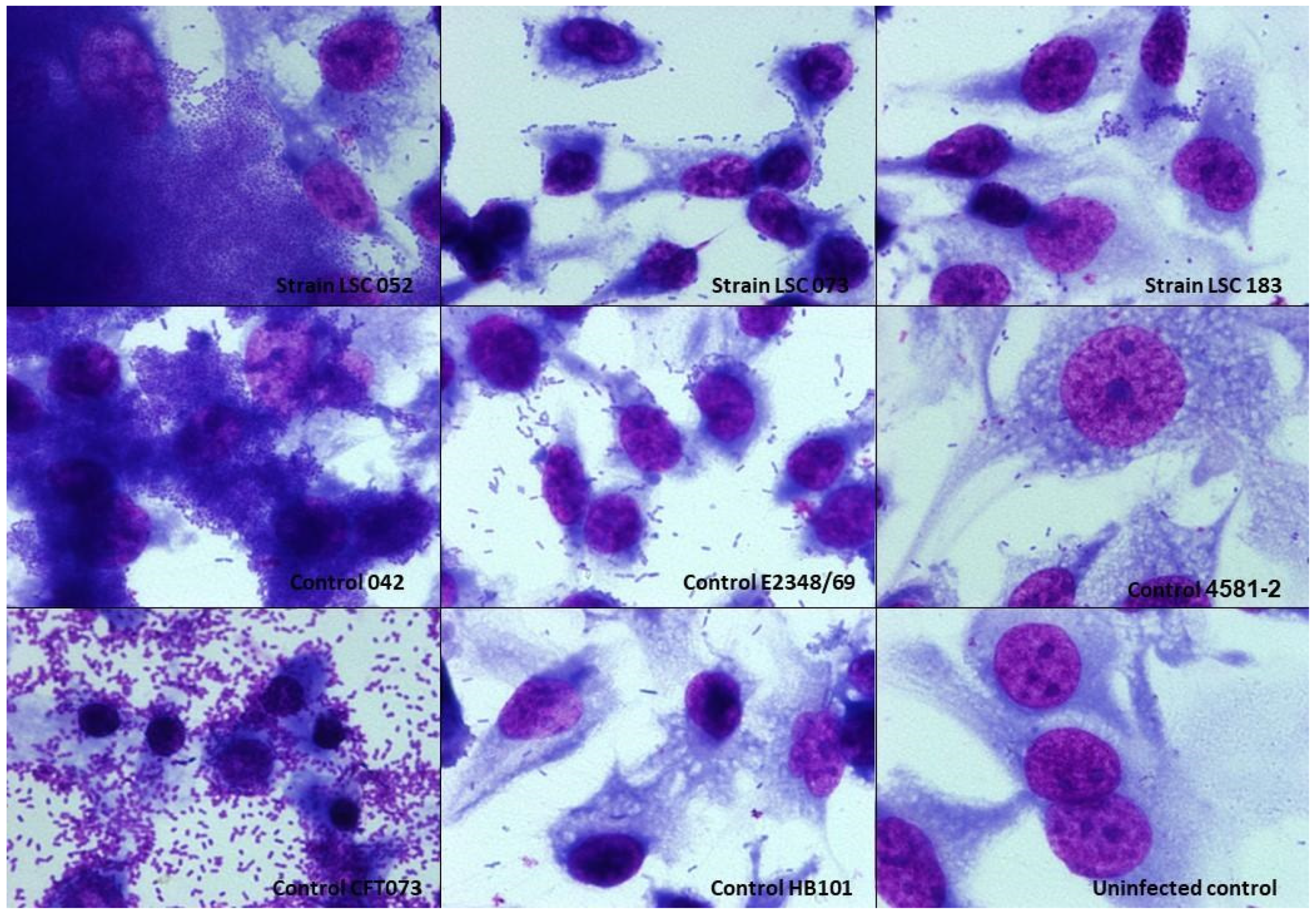 Microorganisms 10 00302 g003