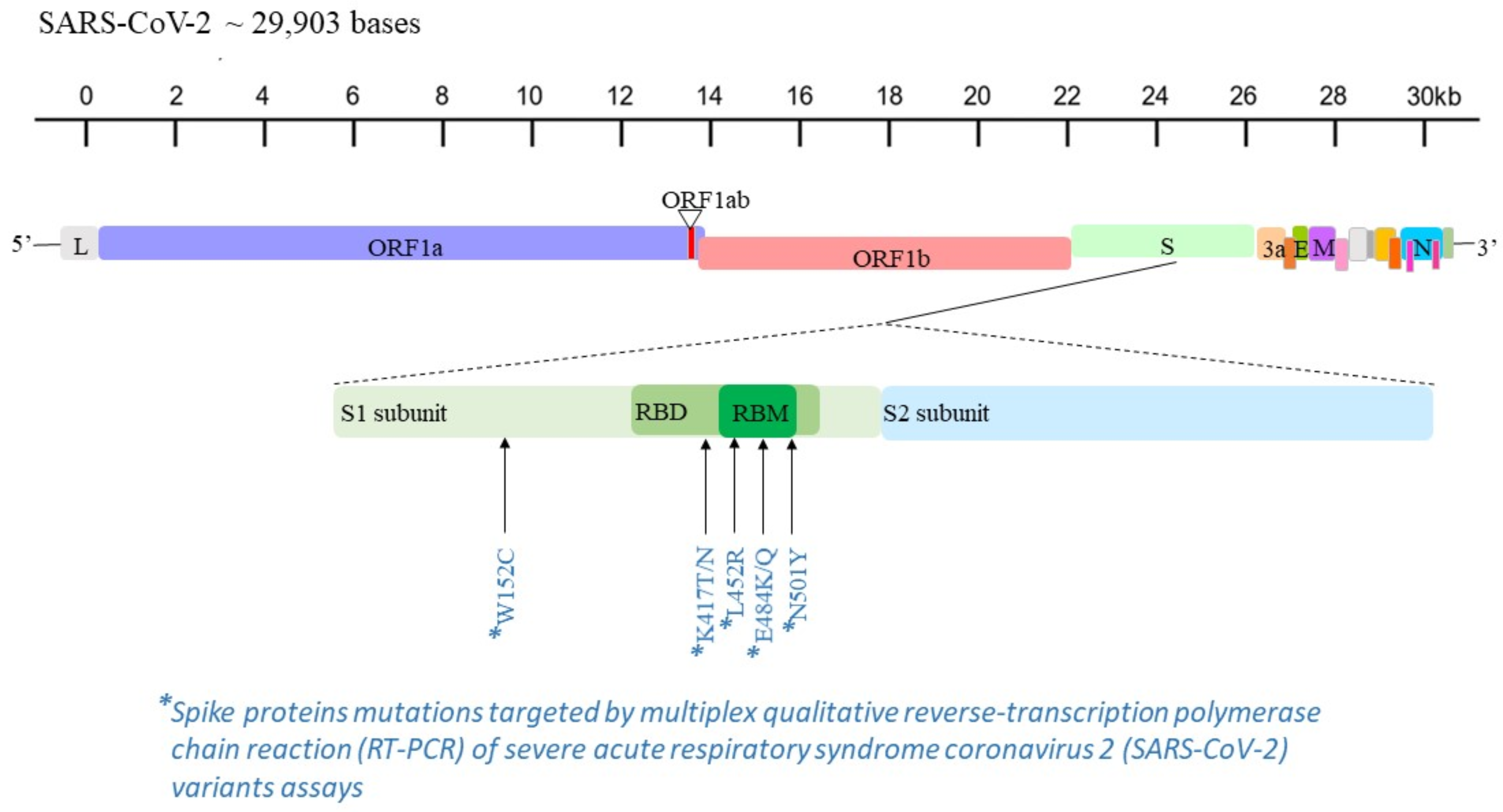 Microorganisms 10 00306 g001