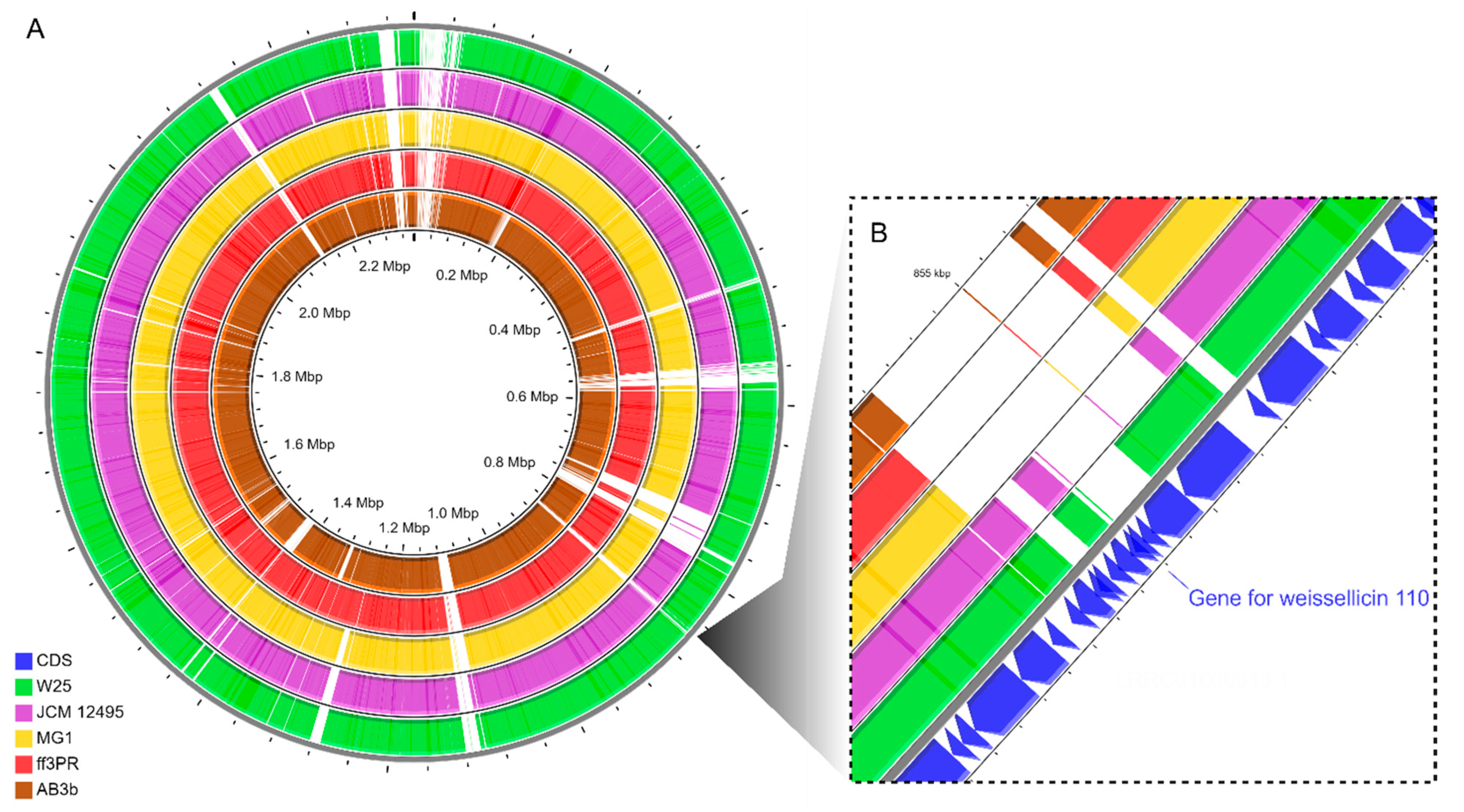 Microorganisms 10 00314 g004
