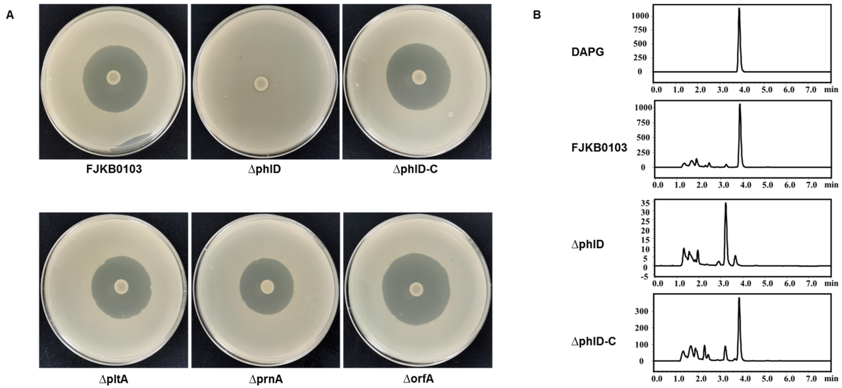 Microorganisms 10 00315 g002