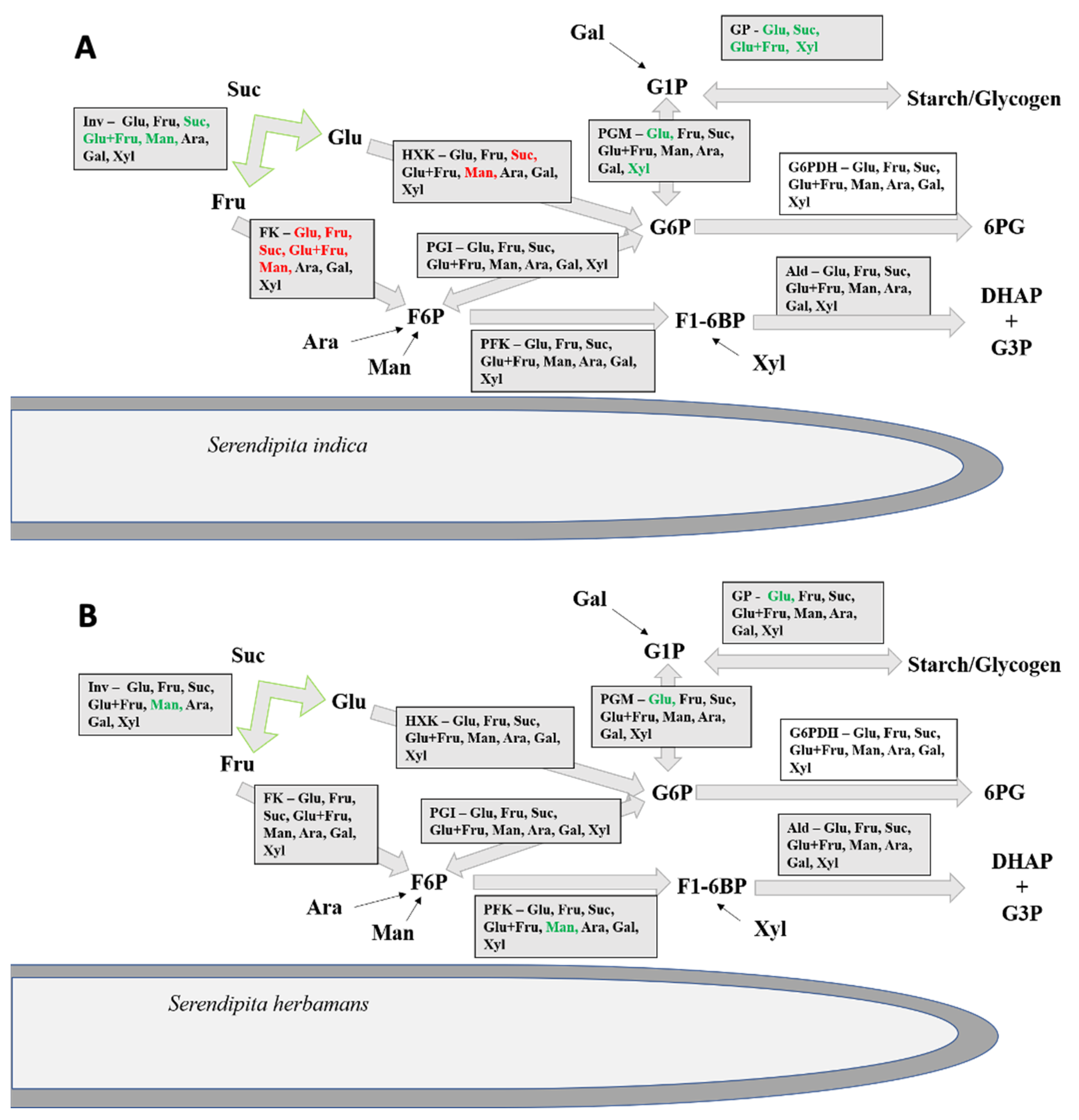 Microorganisms 10 00320 g004