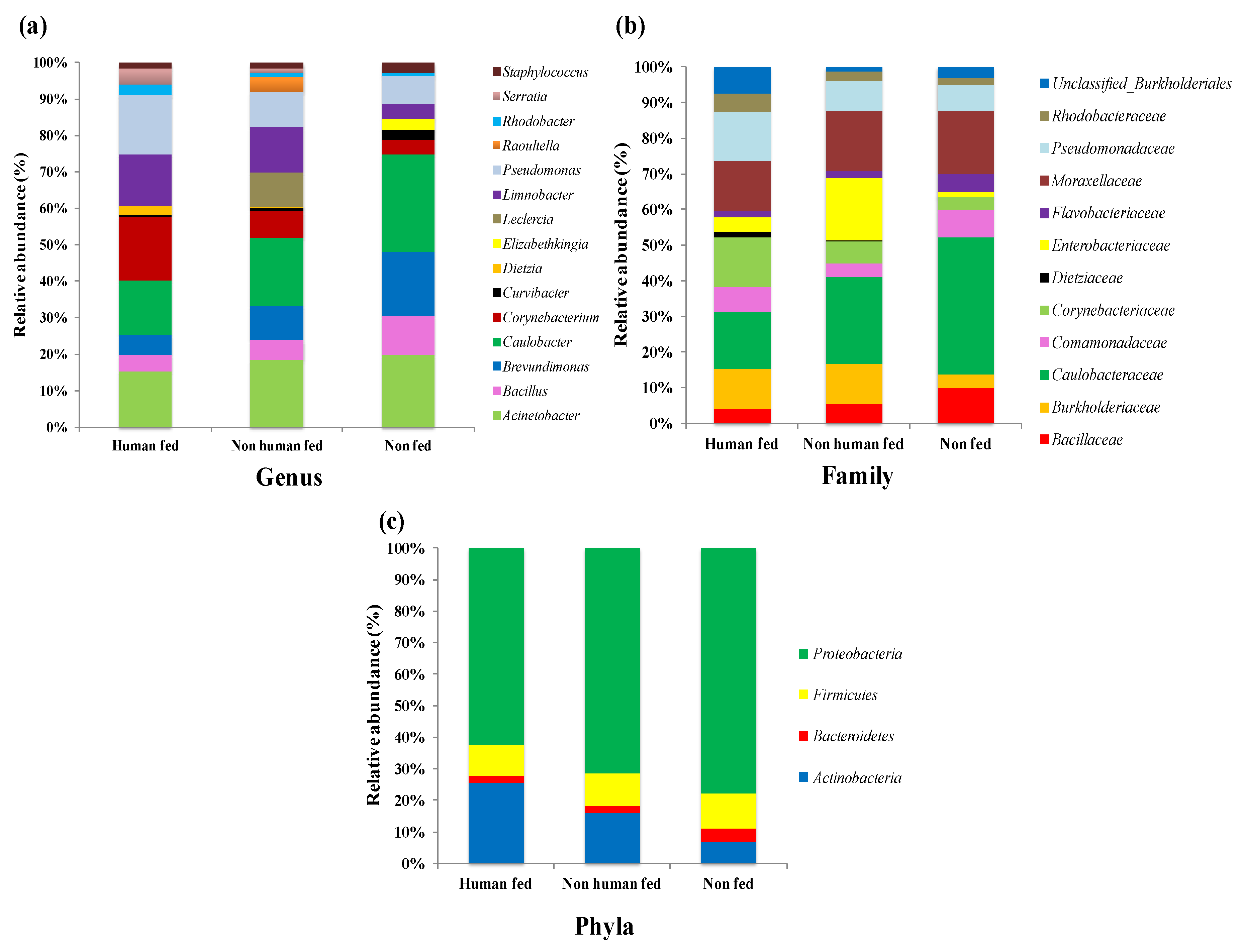 Microorganisms 10 00332 g004