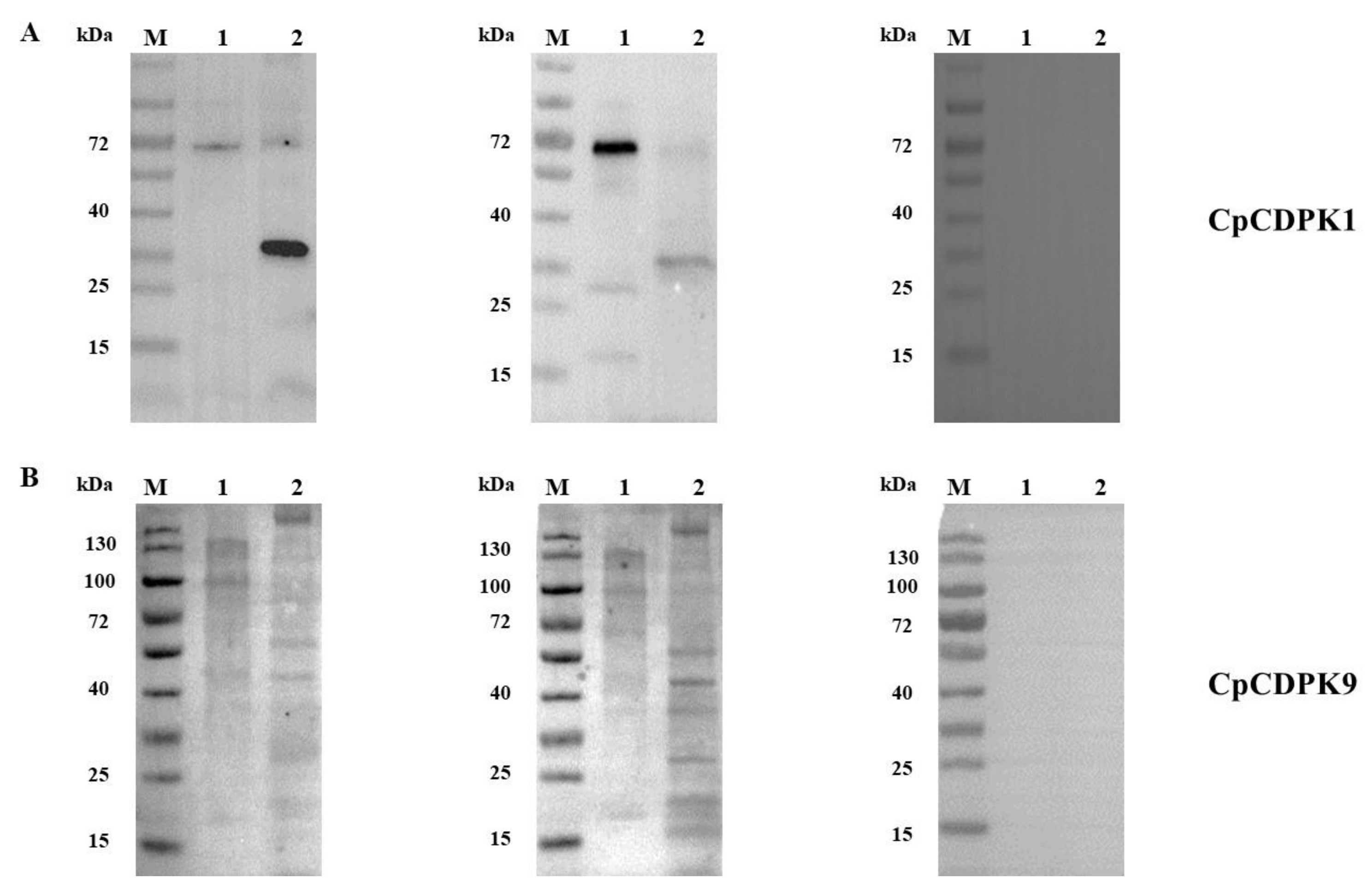 Microorganisms 10 00333 g002