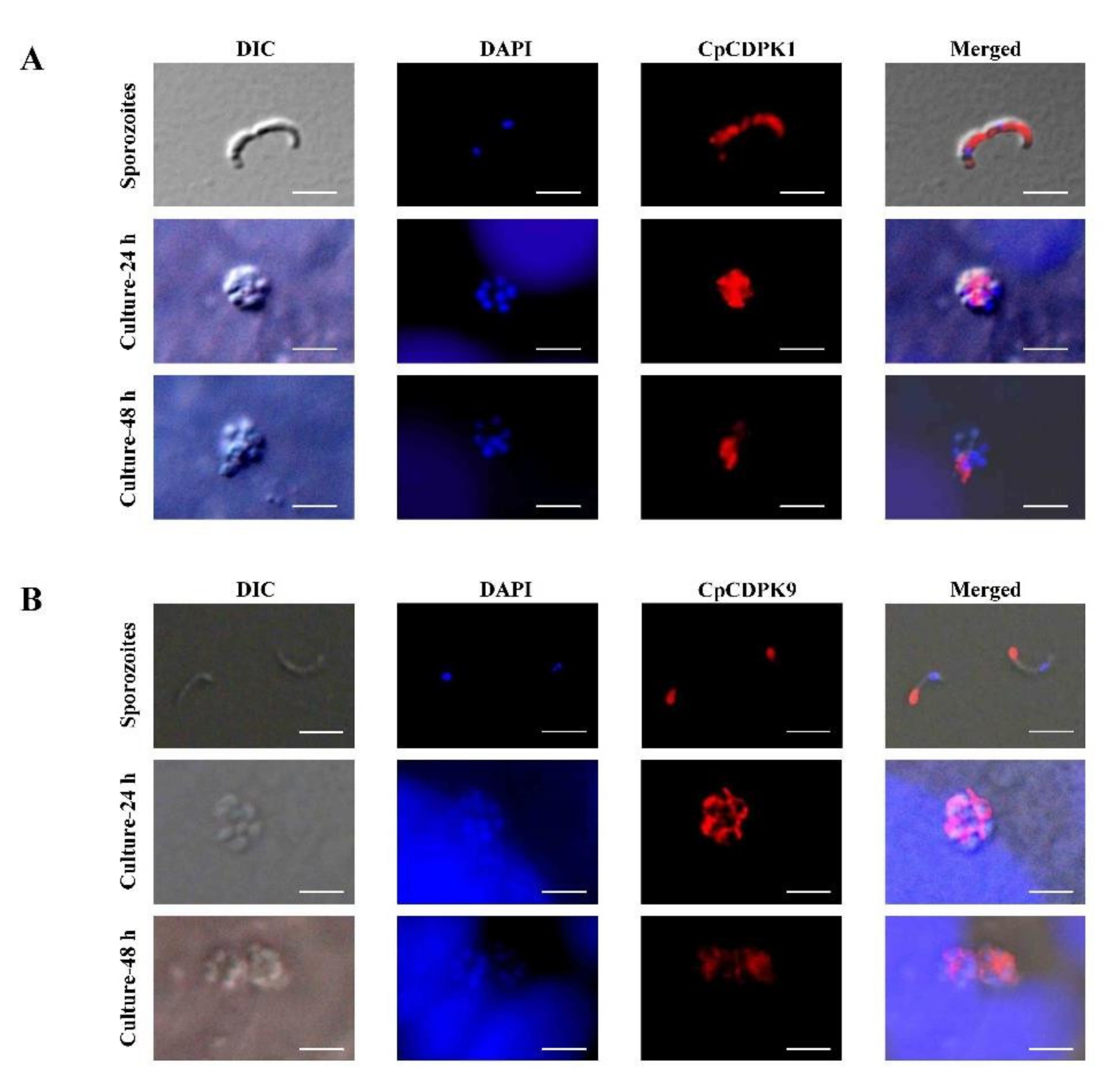 Microorganisms 10 00333 g003