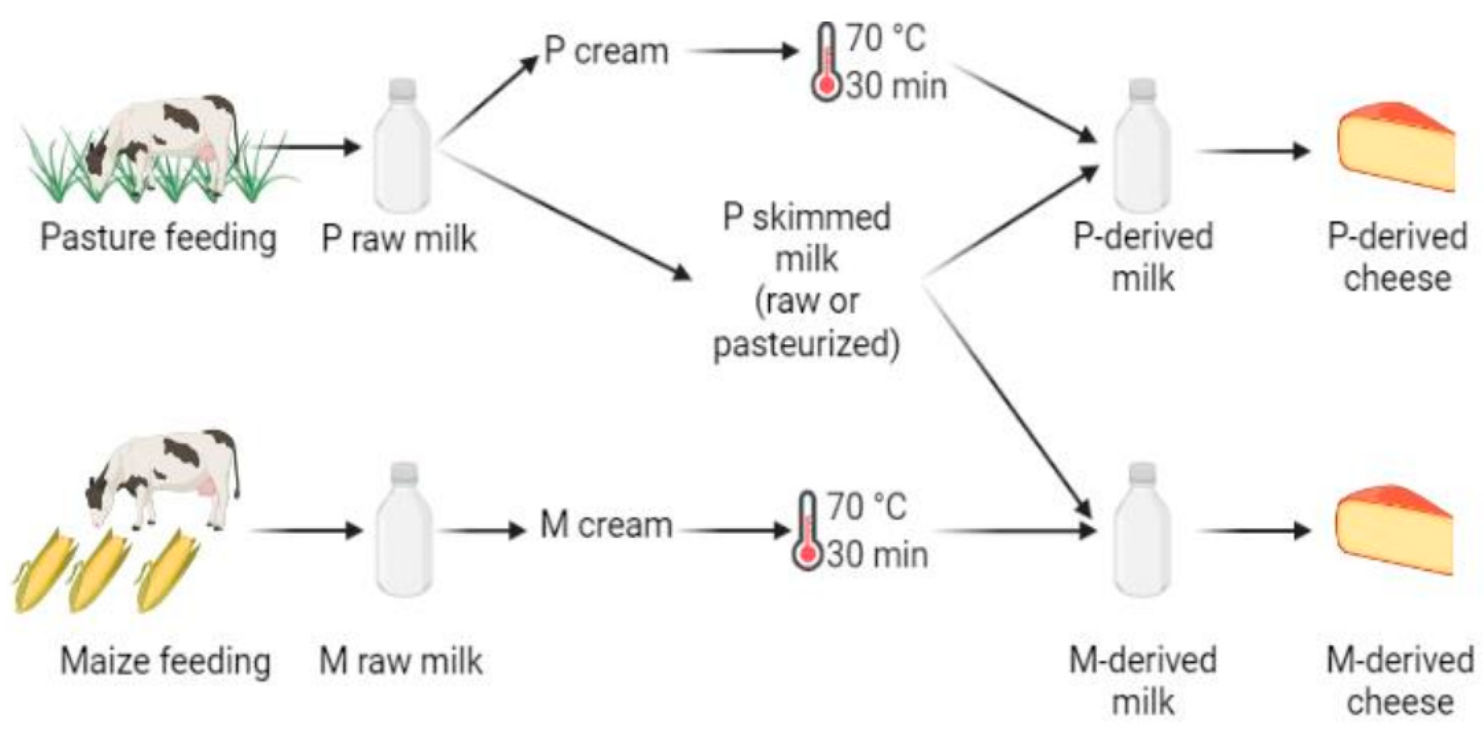 Microorganisms 10 00334 g001