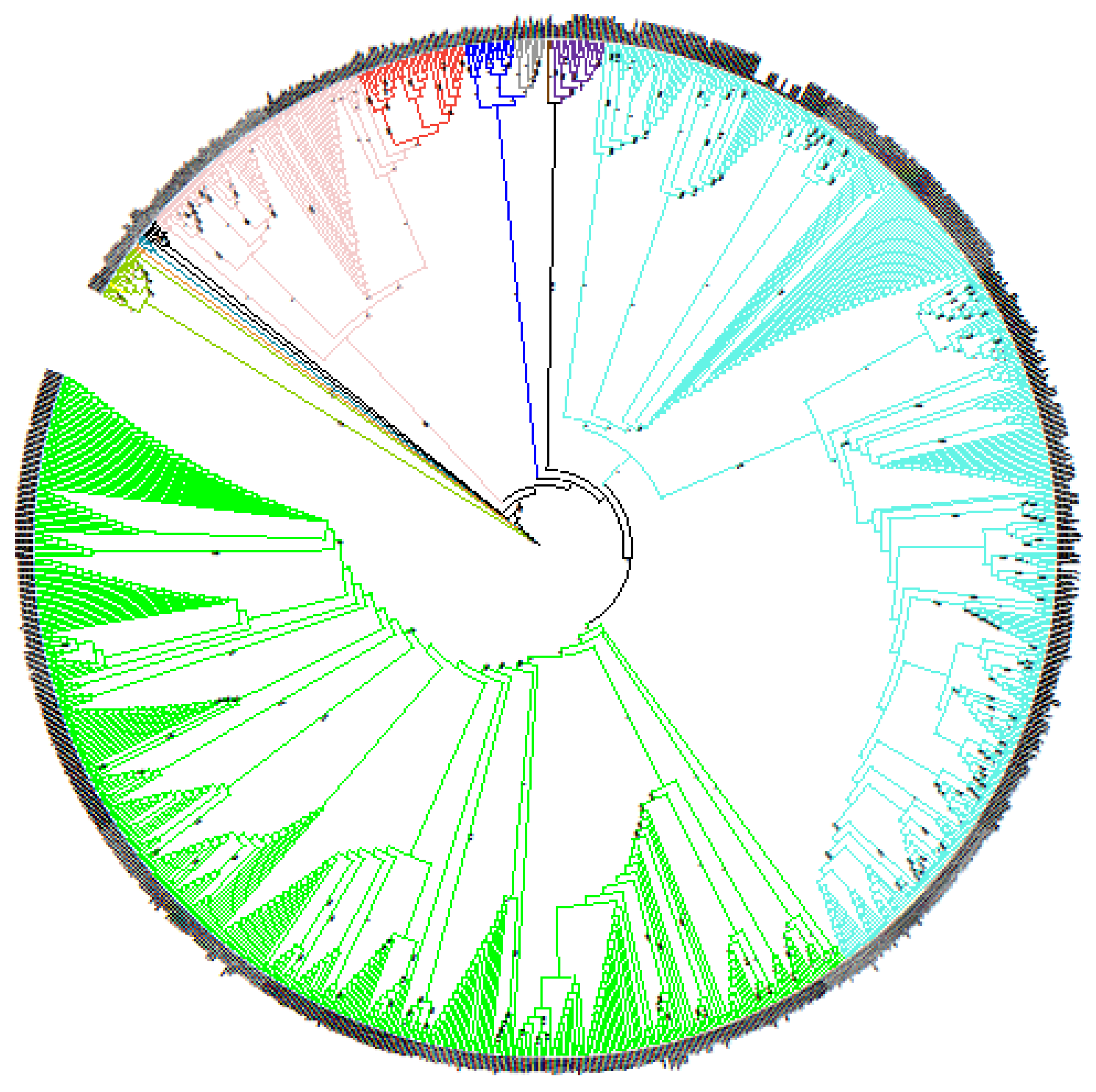 Microorganisms 10 00336 g001
