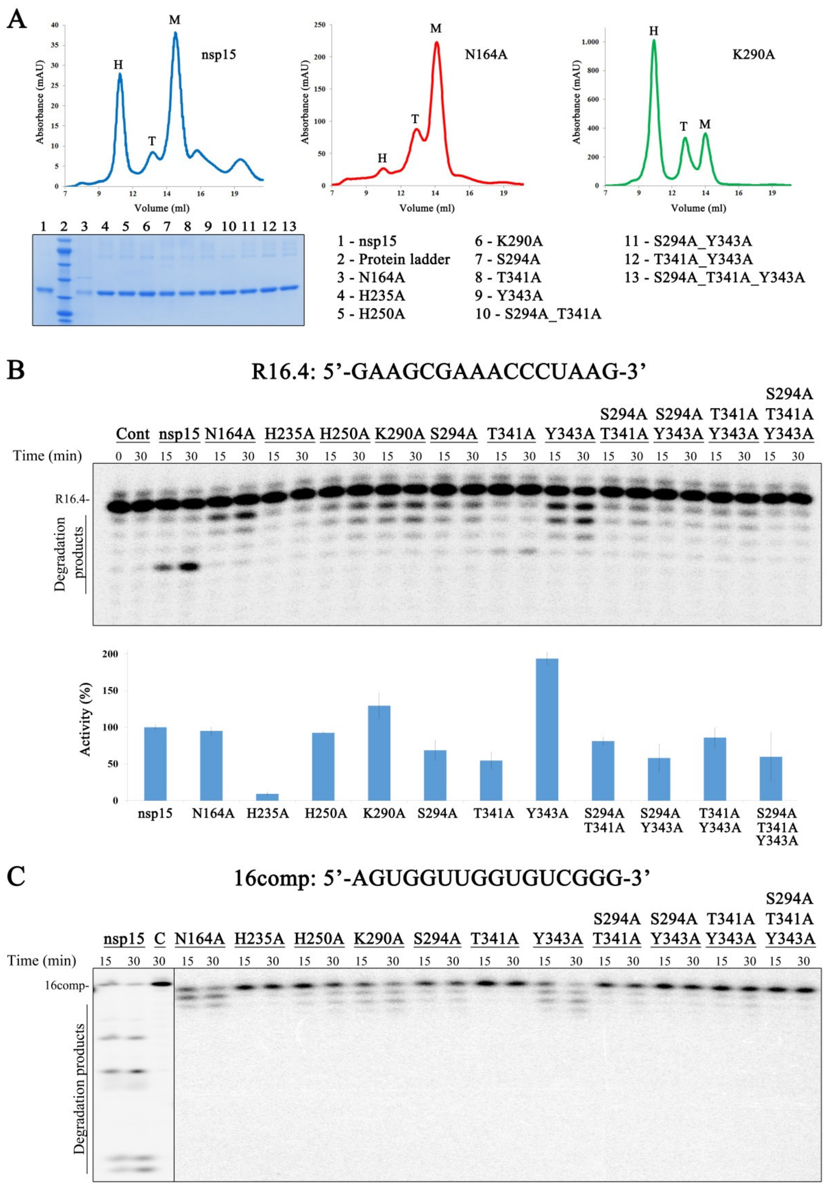 Microorganisms 10 00342 g005
