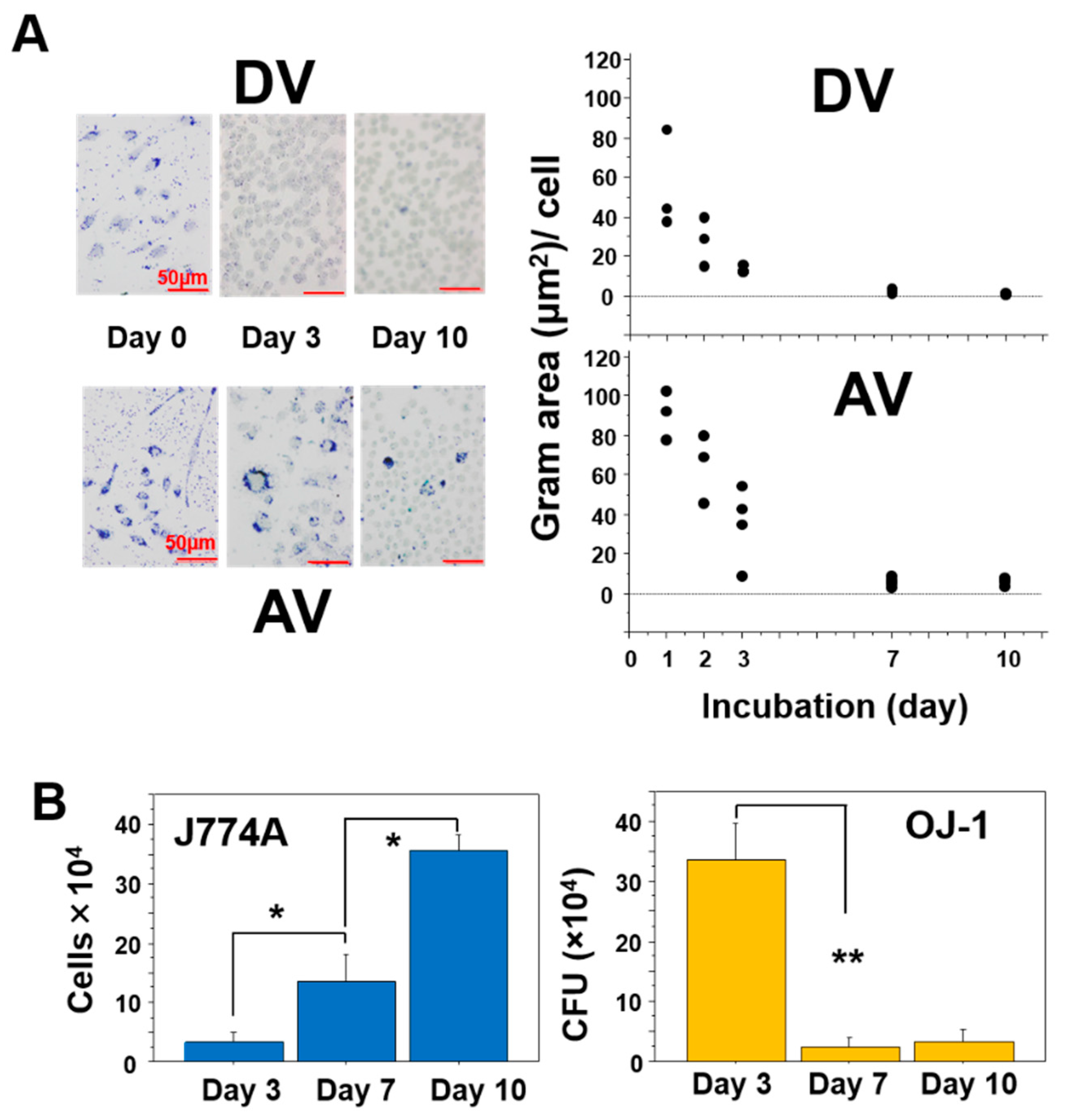 Microorganisms 10 00348 g003