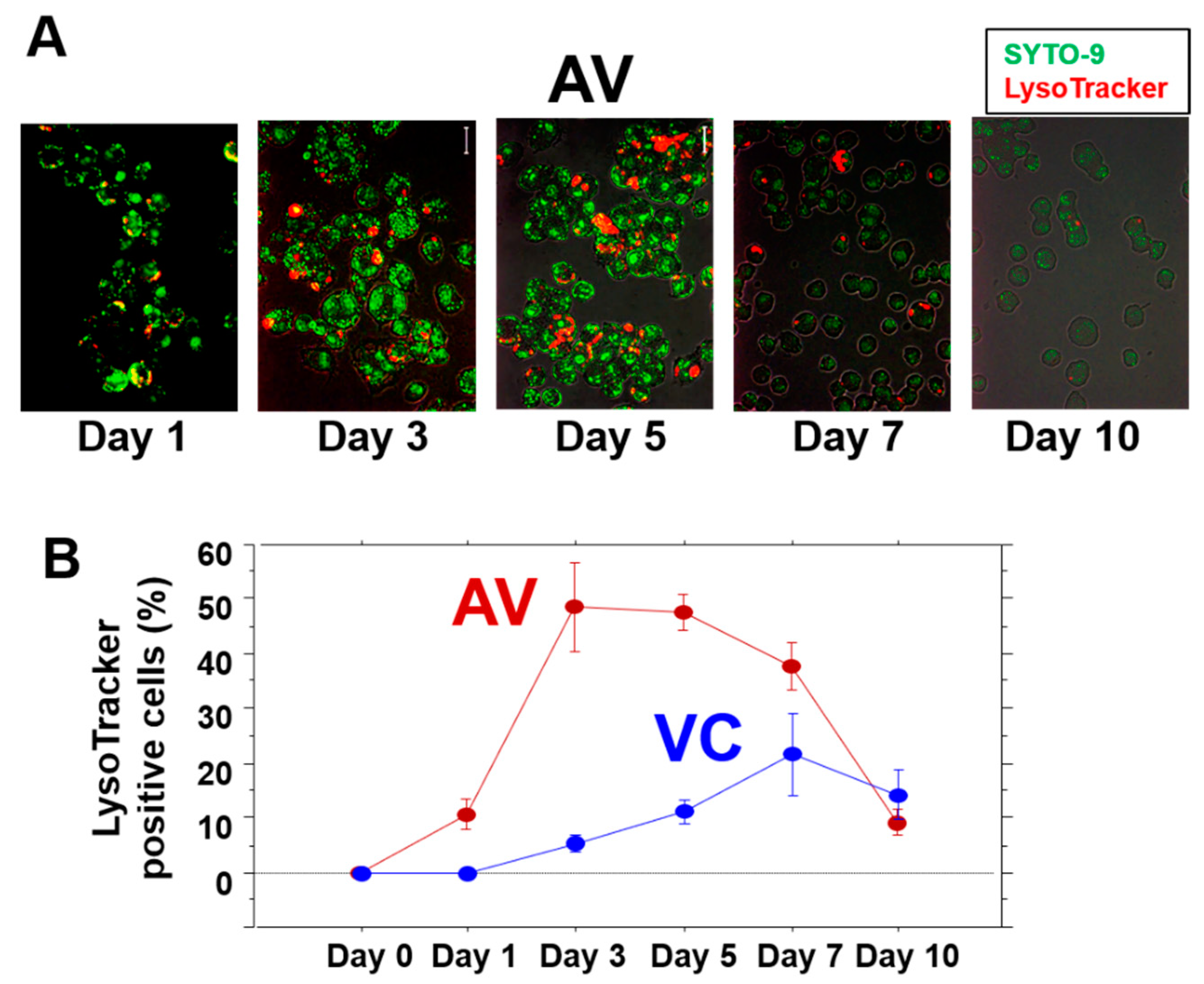 Microorganisms 10 00348 g004
