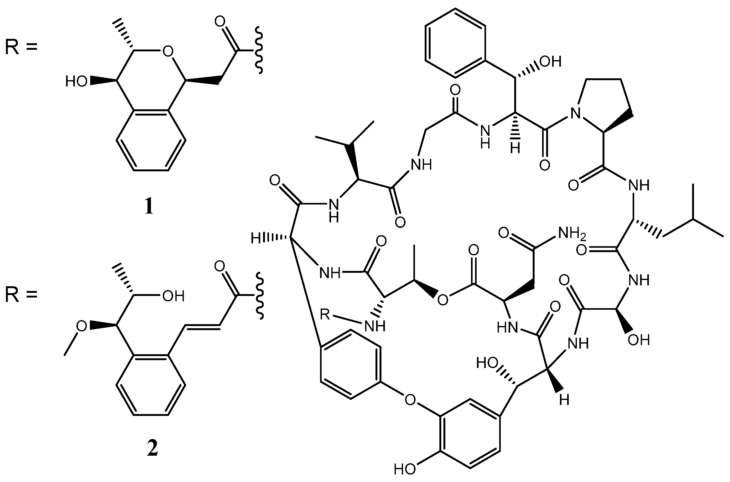 Microorganisms 10 00349 g001