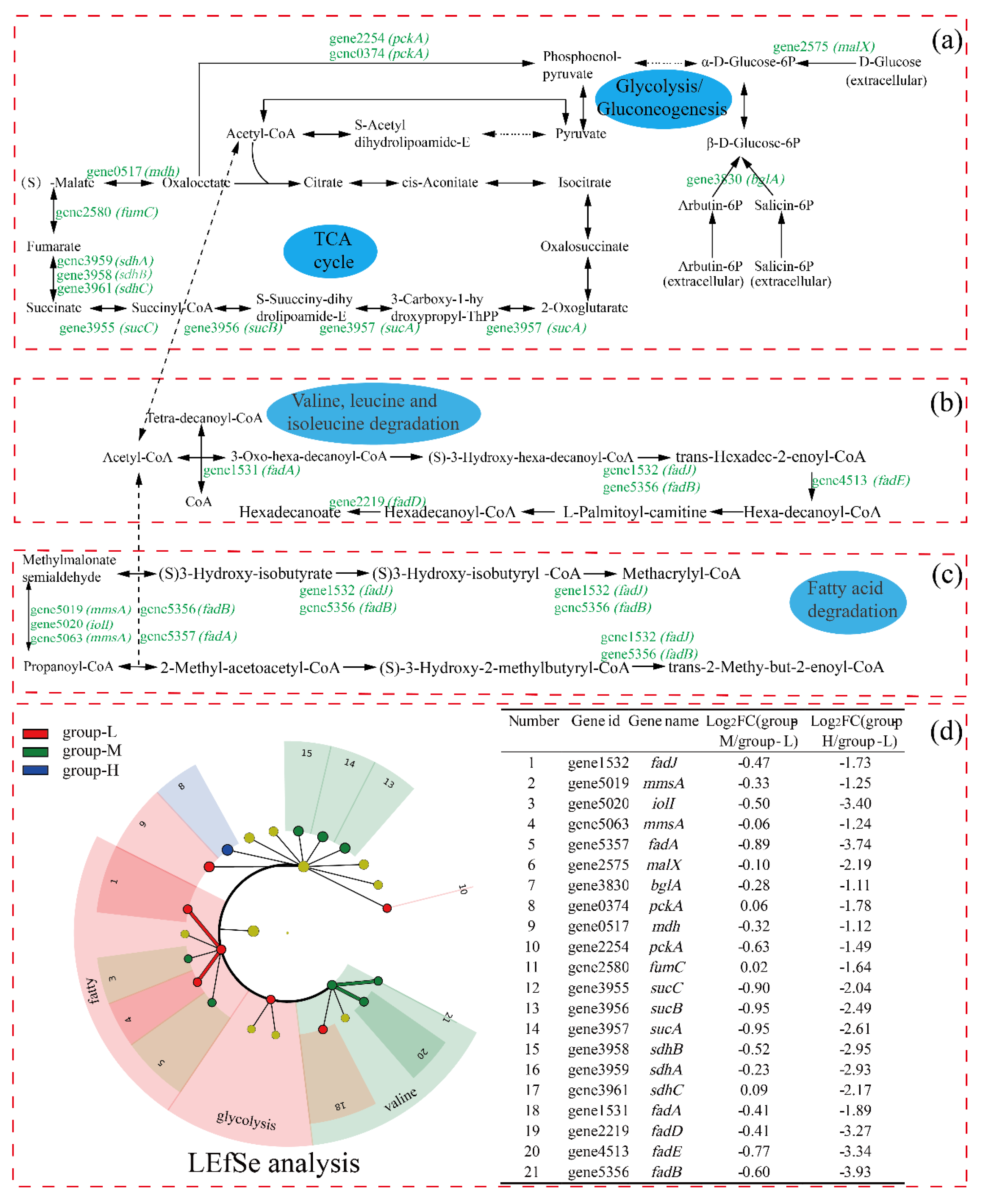 Microorganisms 10 00353 g006