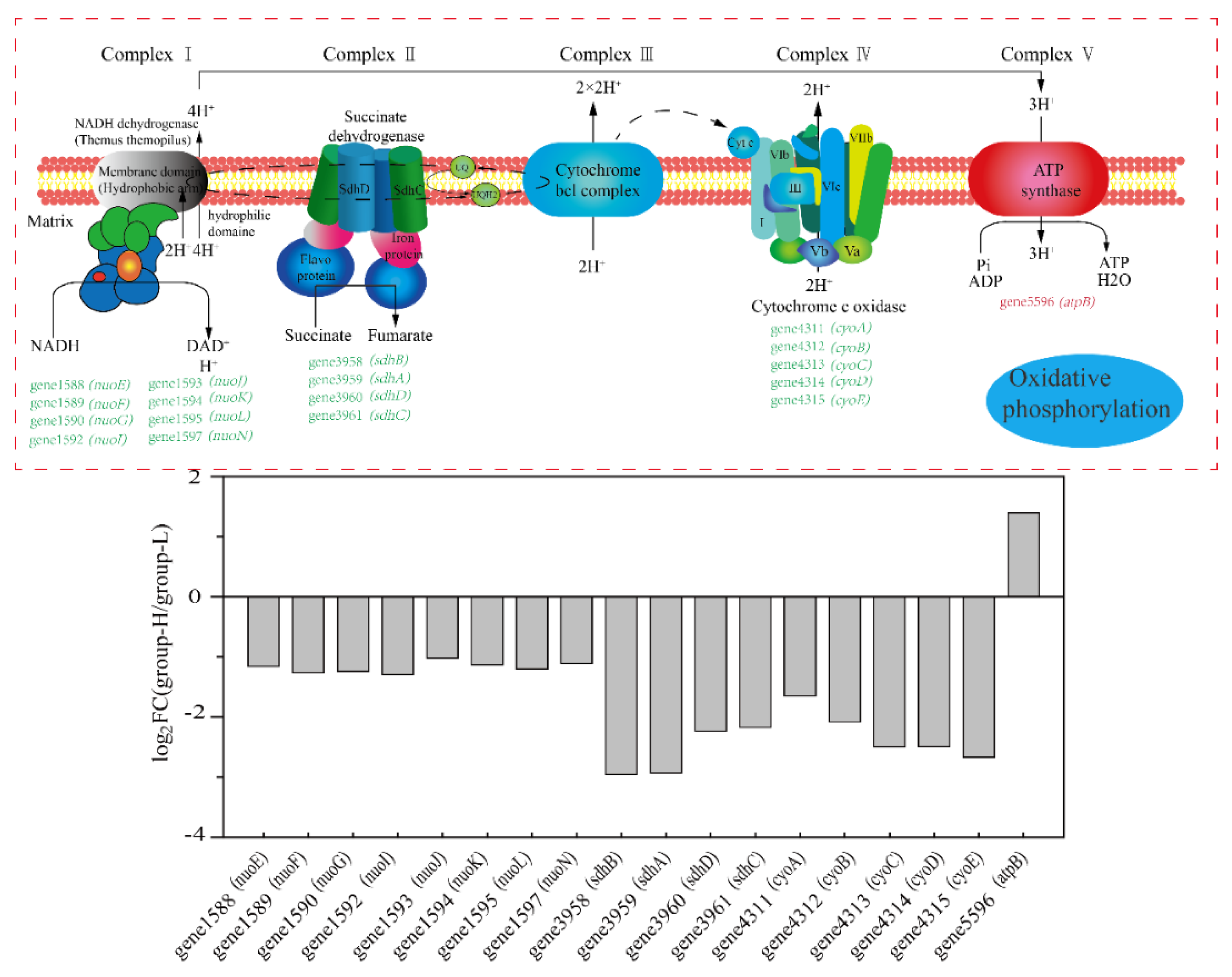 Microorganisms 10 00353 g007