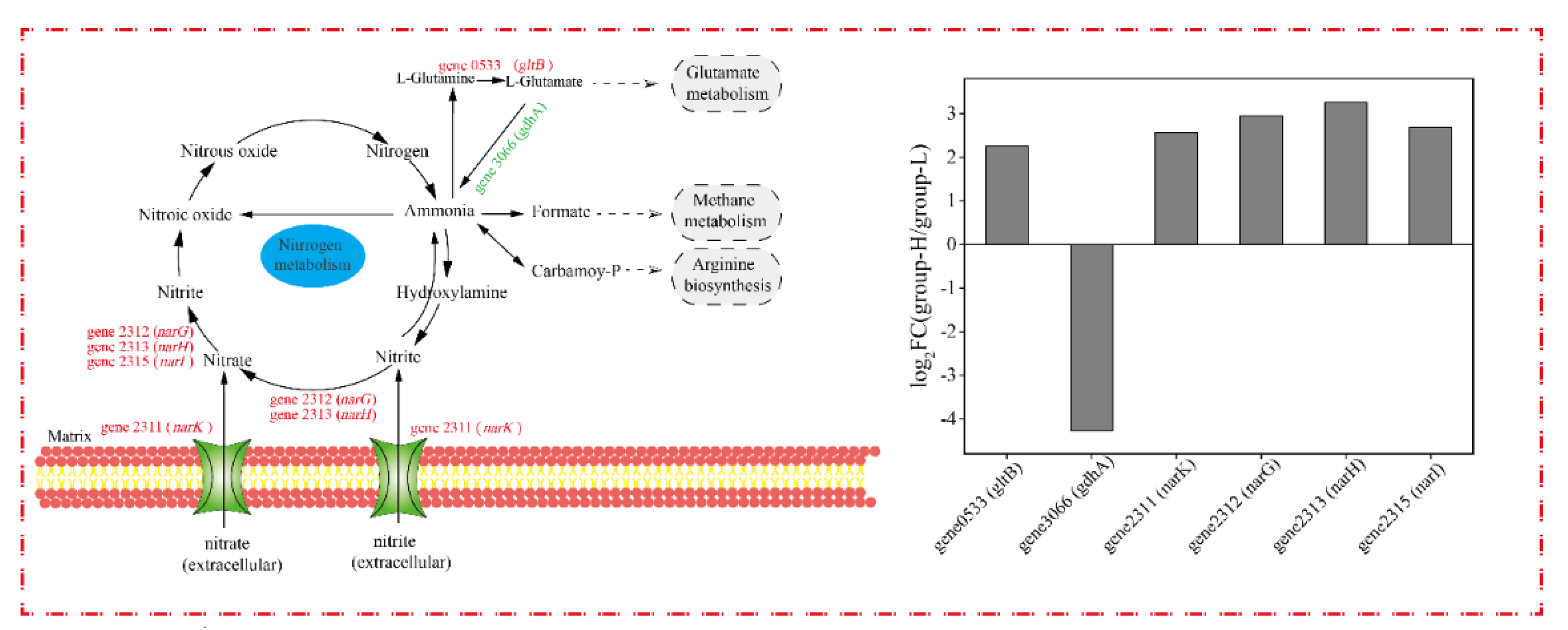 Microorganisms 10 00353 g009
