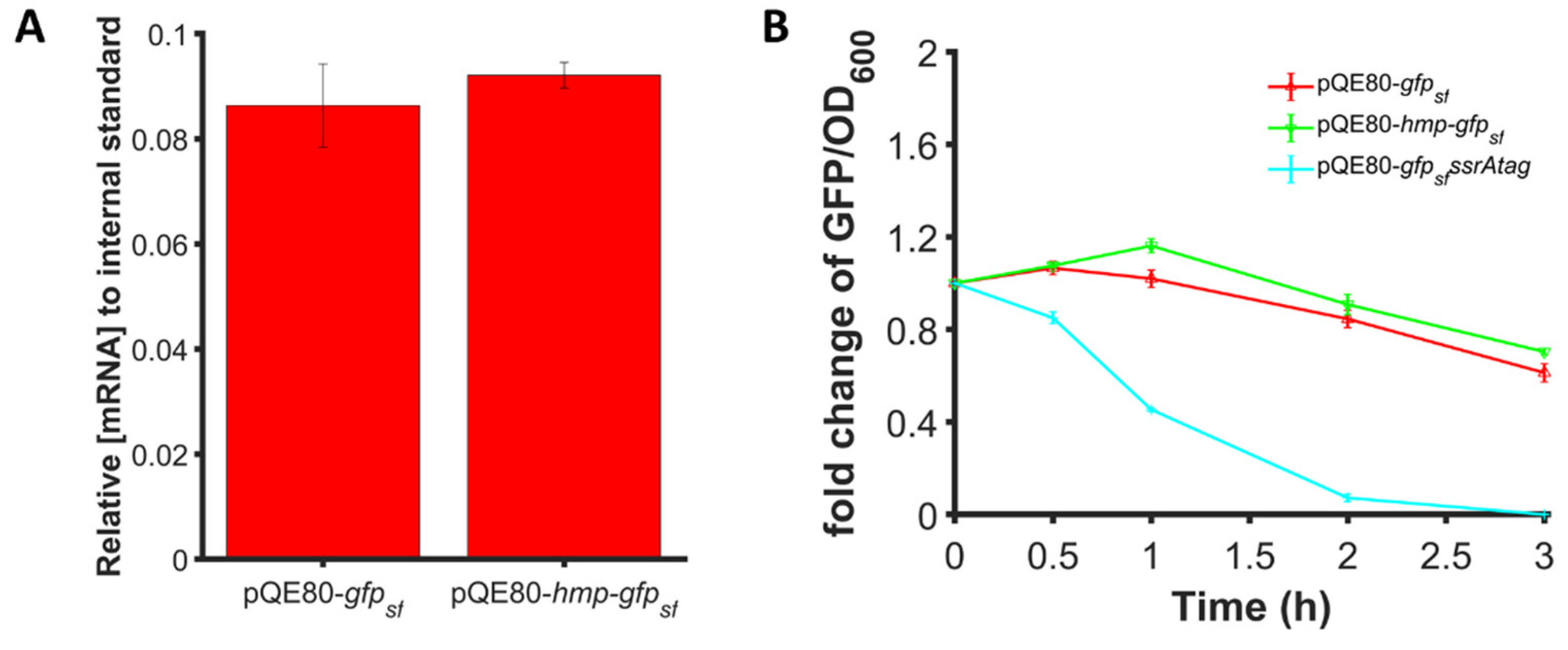 Microorganisms 10 00358 g008