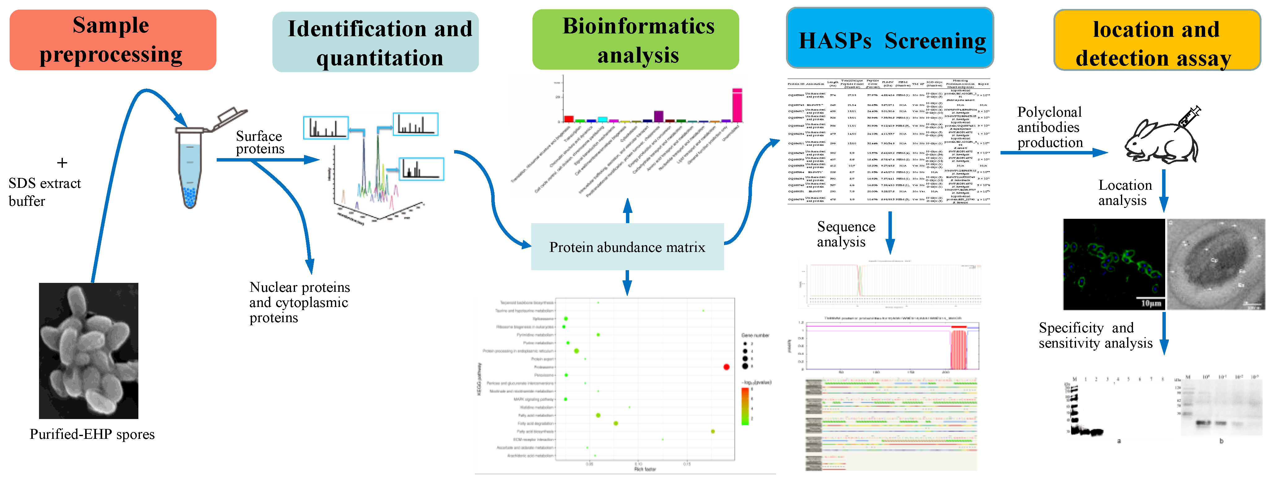 Microorganisms 10 00367 g001