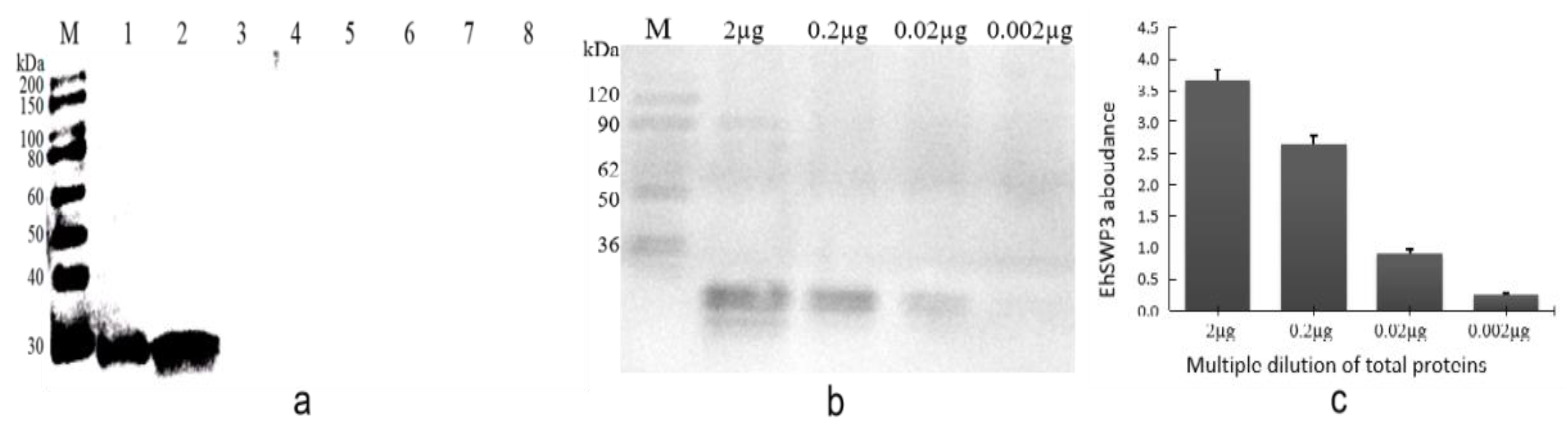 Microorganisms 10 00367 g010