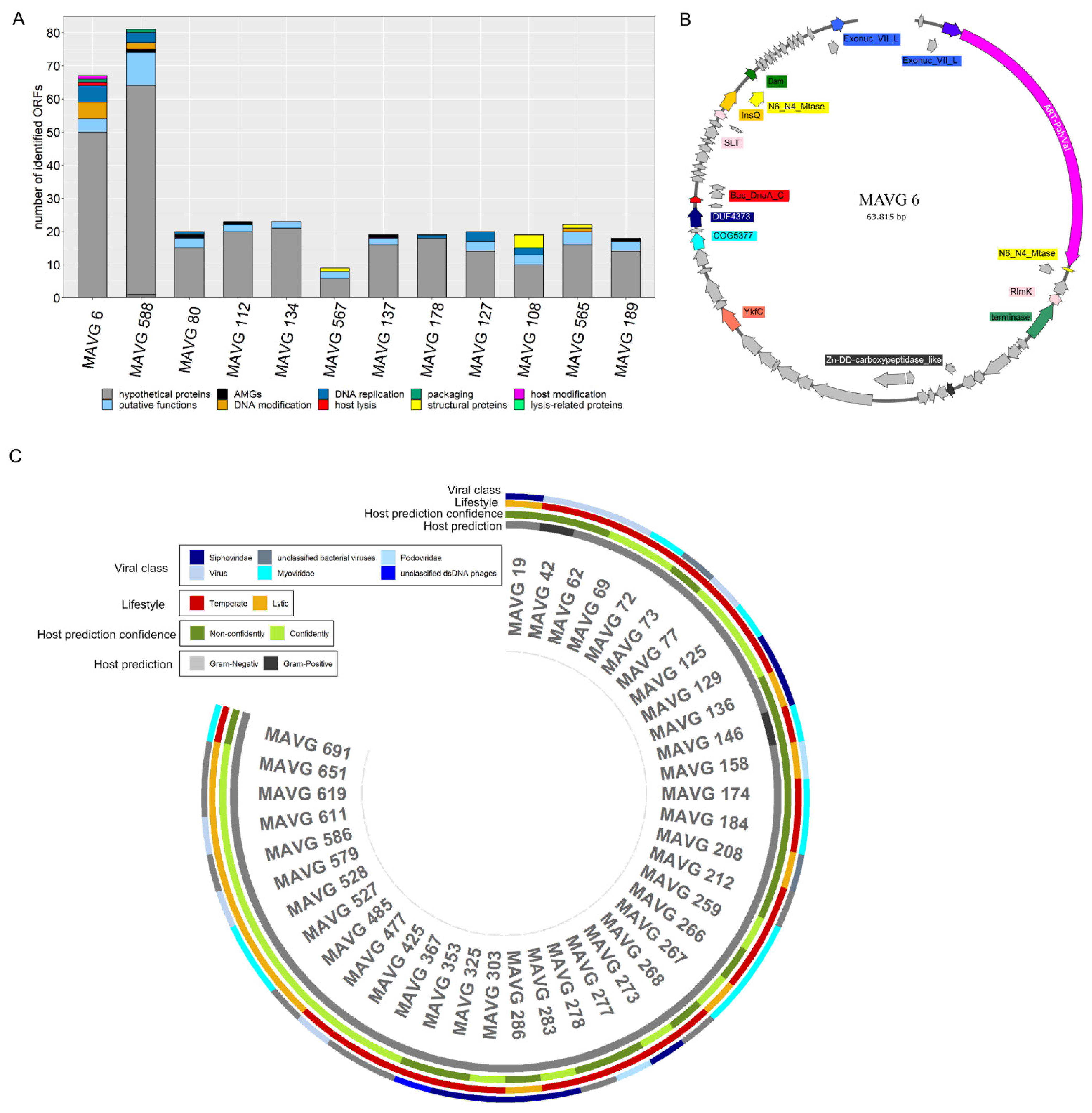 Microorganisms 10 00368 g004