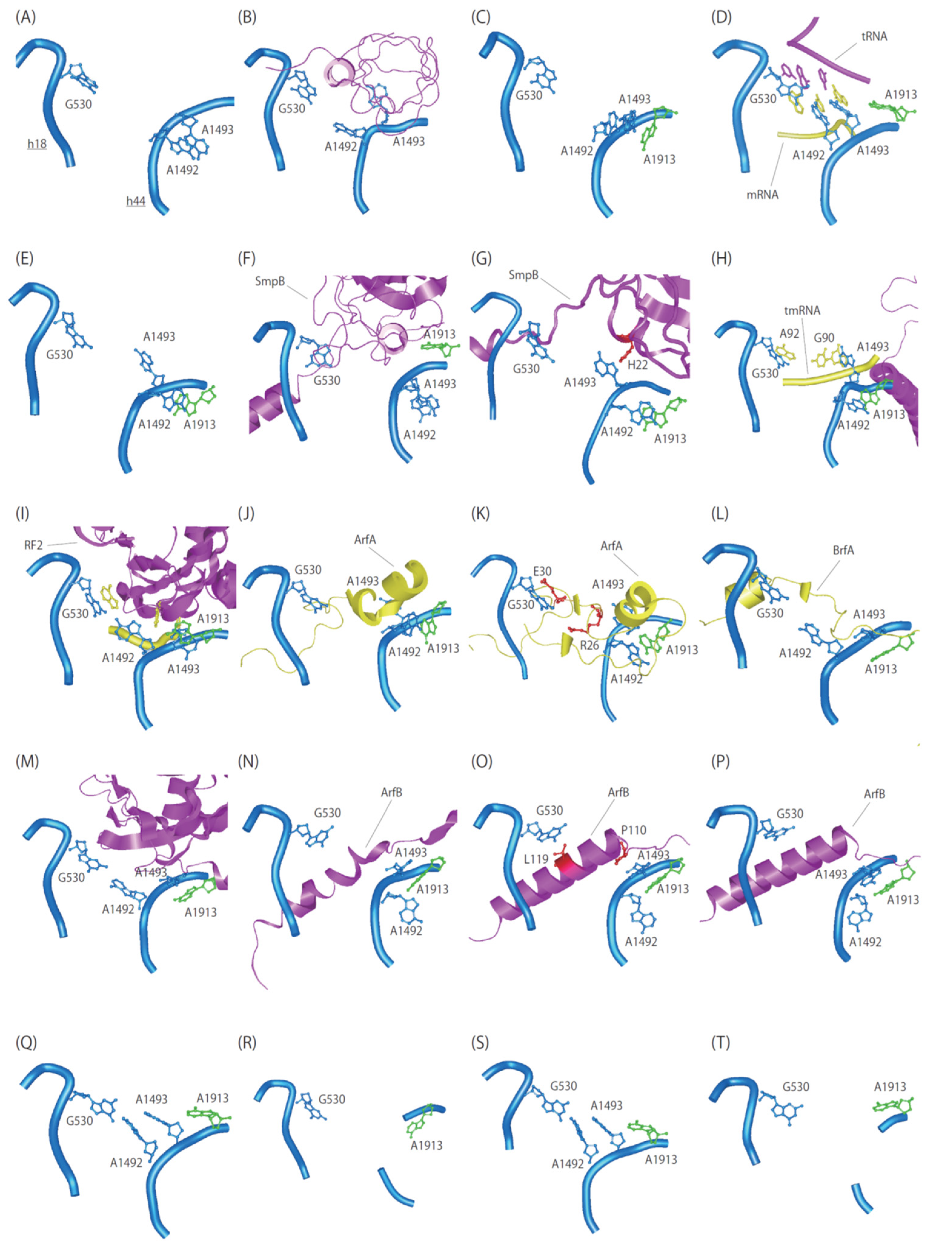 Microorganisms 10 00372 g002